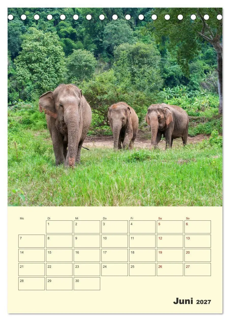 Bild: 9783569575172 | ELEFANTEN - Asiens graue Riesen (Tischkalender 2027 DIN A5 hoch),...