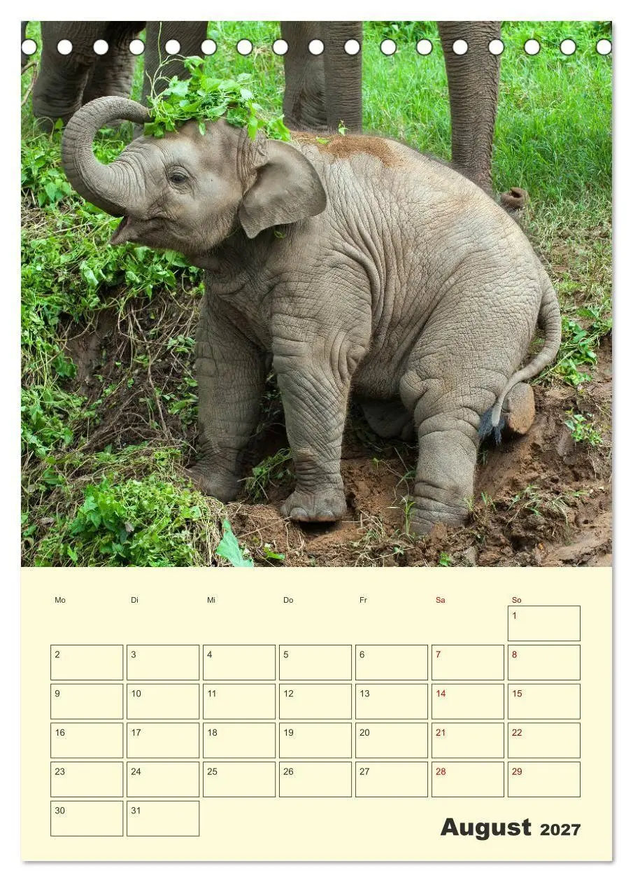 Bild: 9783569575172 | ELEFANTEN - Asiens graue Riesen (Tischkalender 2027 DIN A5 hoch),...