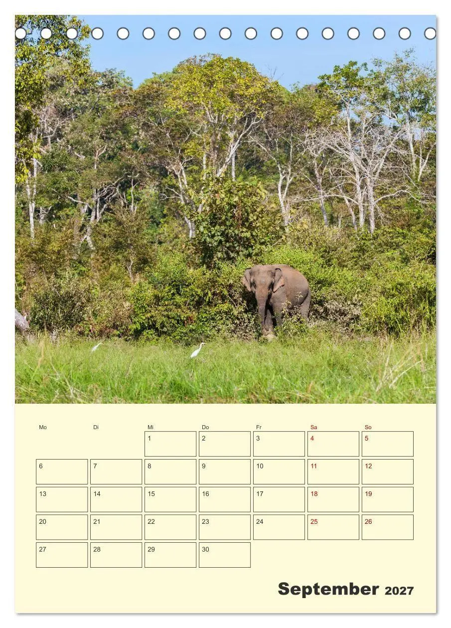Bild: 9783569575172 | ELEFANTEN - Asiens graue Riesen (Tischkalender 2027 DIN A5 hoch),...