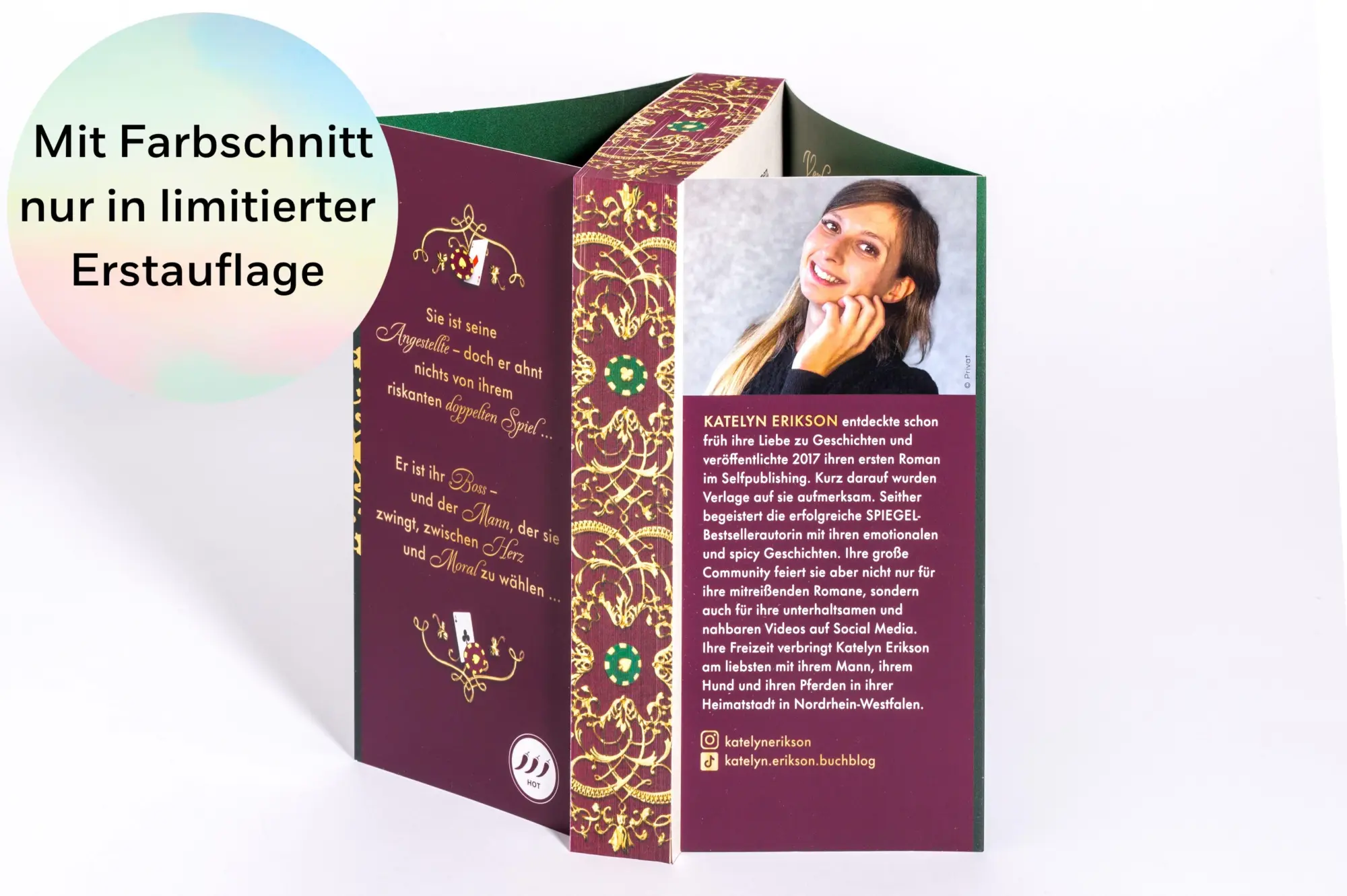 Bild: 9783734115172 | House of Hawke - Spiel ohne Regeln | Katelyn Erikson | Taschenbuch