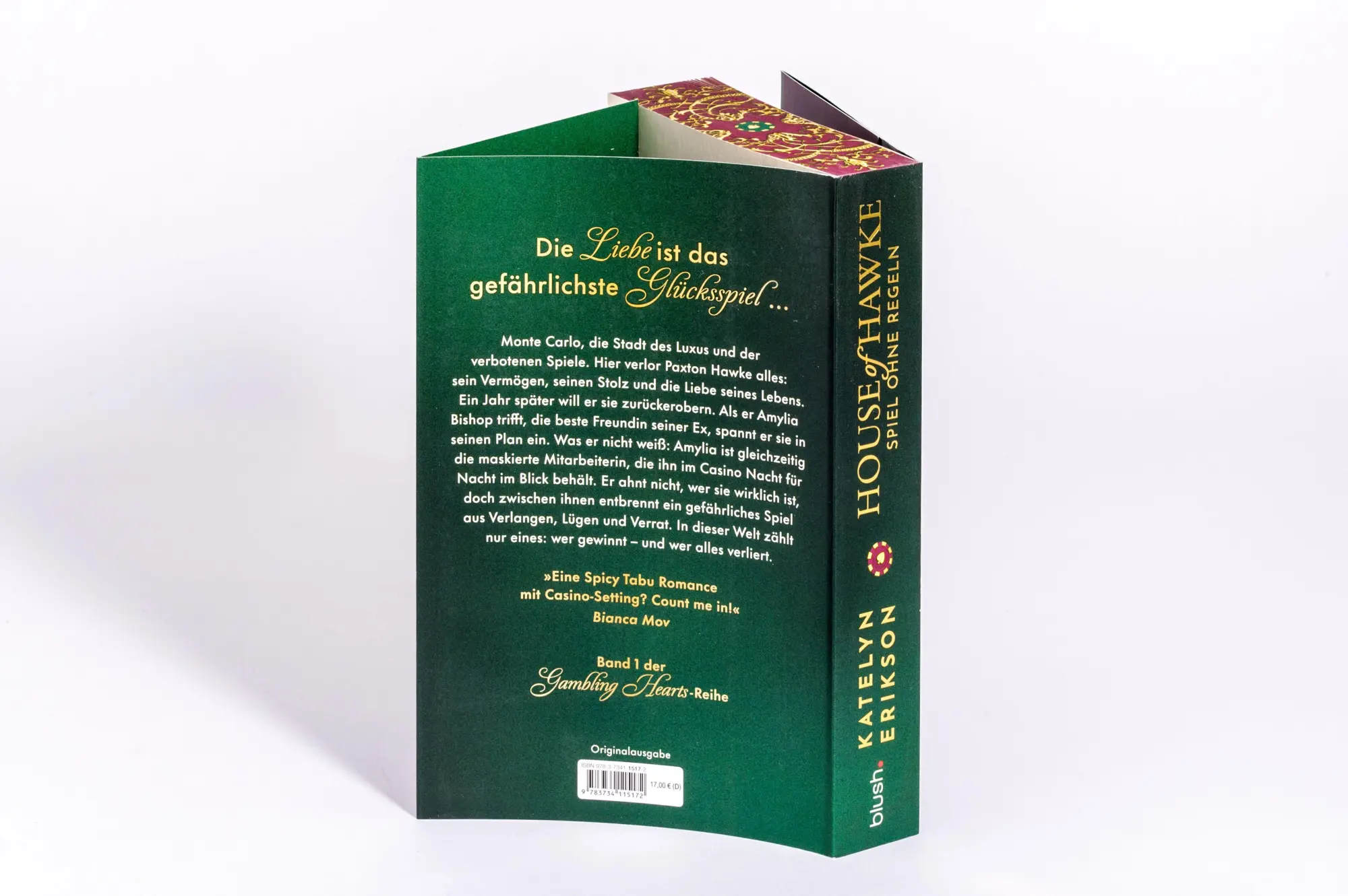 Bild: 9783734115172 | House of Hawke - Spiel ohne Regeln | Katelyn Erikson | Taschenbuch