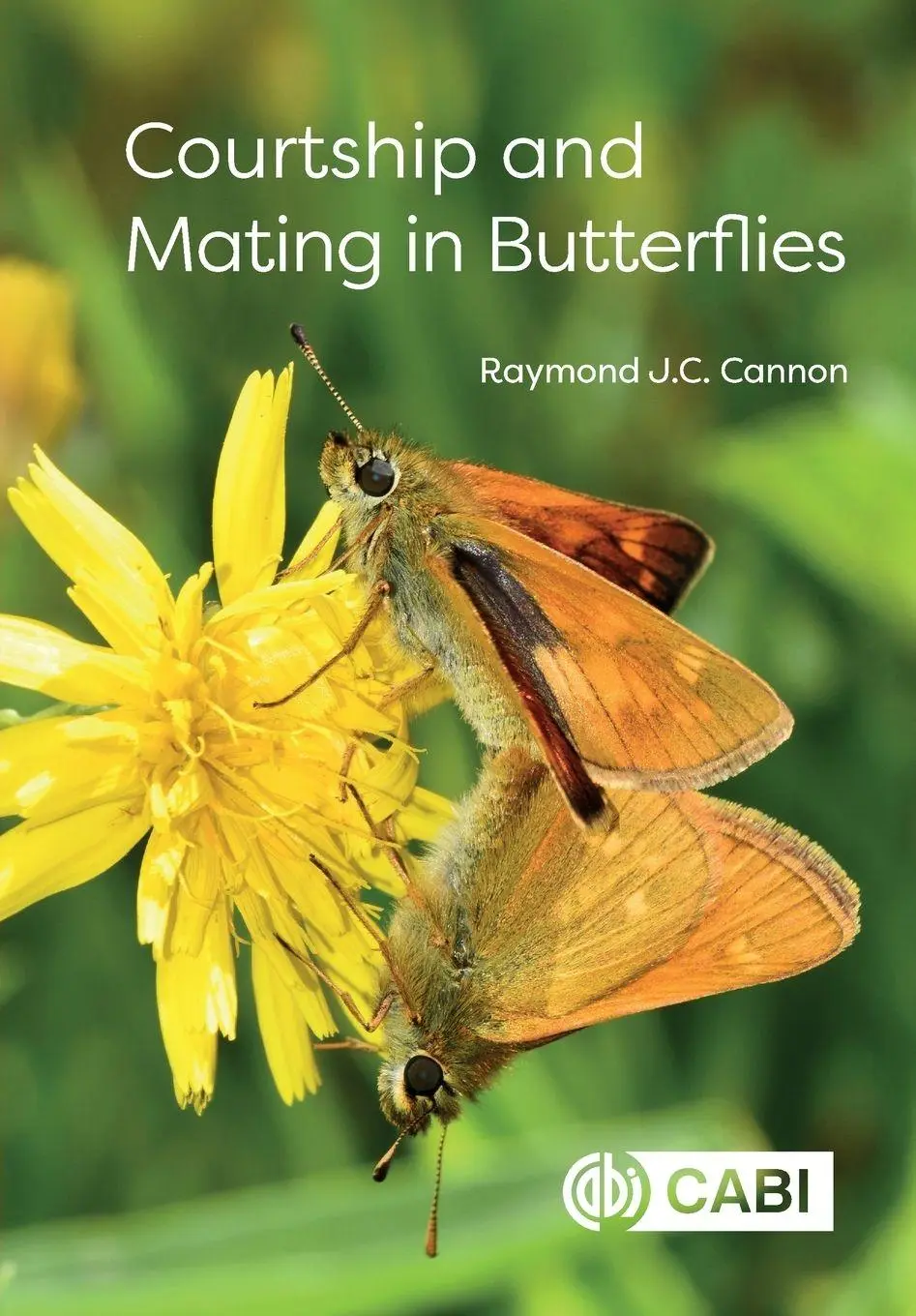 Cover: 9781836995272 | Courtship and Mating in Butterflies | Raymond J C Cannon | Taschenbuch