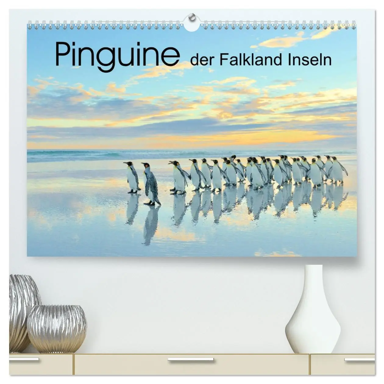 Cover: 9783457695272 | Pinguine der Falkland Inseln (hochwertiger Premium Wandkalender...