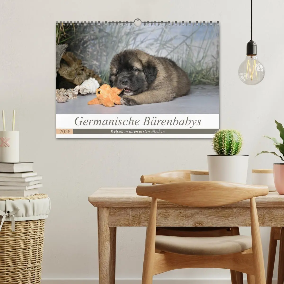 Bild: 9783457835272 | Germanische Bärenbabys (Wandkalender 2026 DIN A3 quer), CALVENDO...