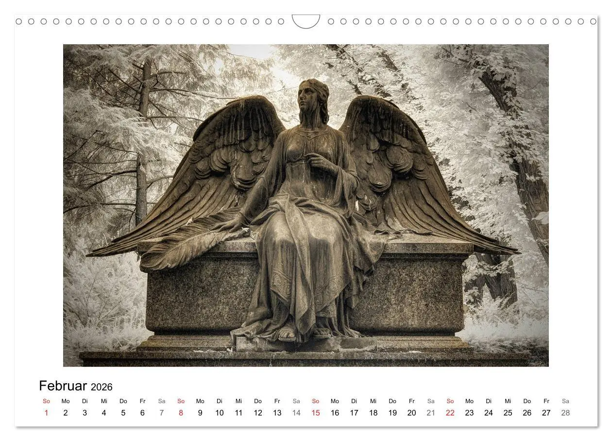 Bild: 9783457905272 | your guardian angel - Dein Schutzengel für jeden Tag (Wandkalender...