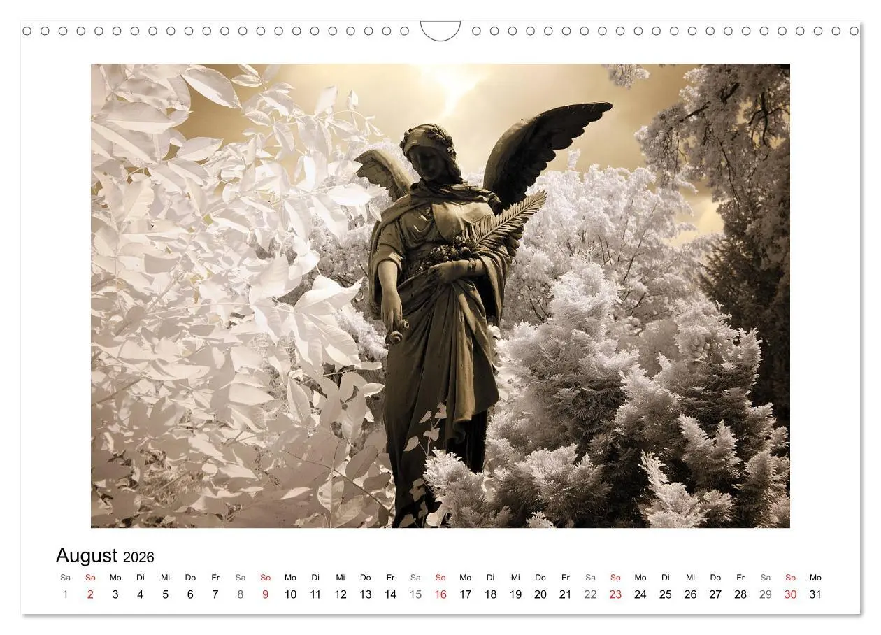 Bild: 9783457905272 | your guardian angel - Dein Schutzengel für jeden Tag (Wandkalender...