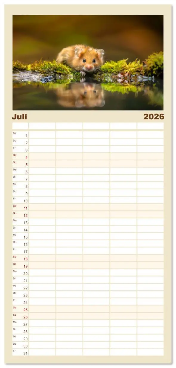 Bild: 9783516615272 | Familienplaner 2026 - Wild und flauschig - Hamster - Abenteuer in...