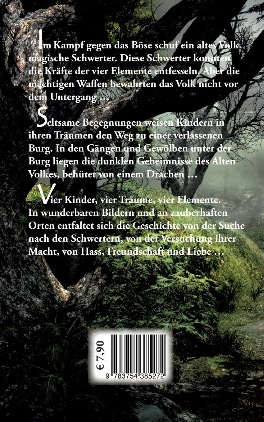 Rückseite: 9783754385272 | Naterra - Die Schwerter der vier Elemente | André Pfeifer | Buch