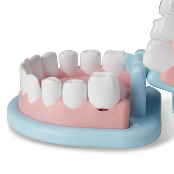 Bild: 681147005372 | MPP Super Smile Zahnarzt Spielset | Karton | 37200 | Deutsch | 2025