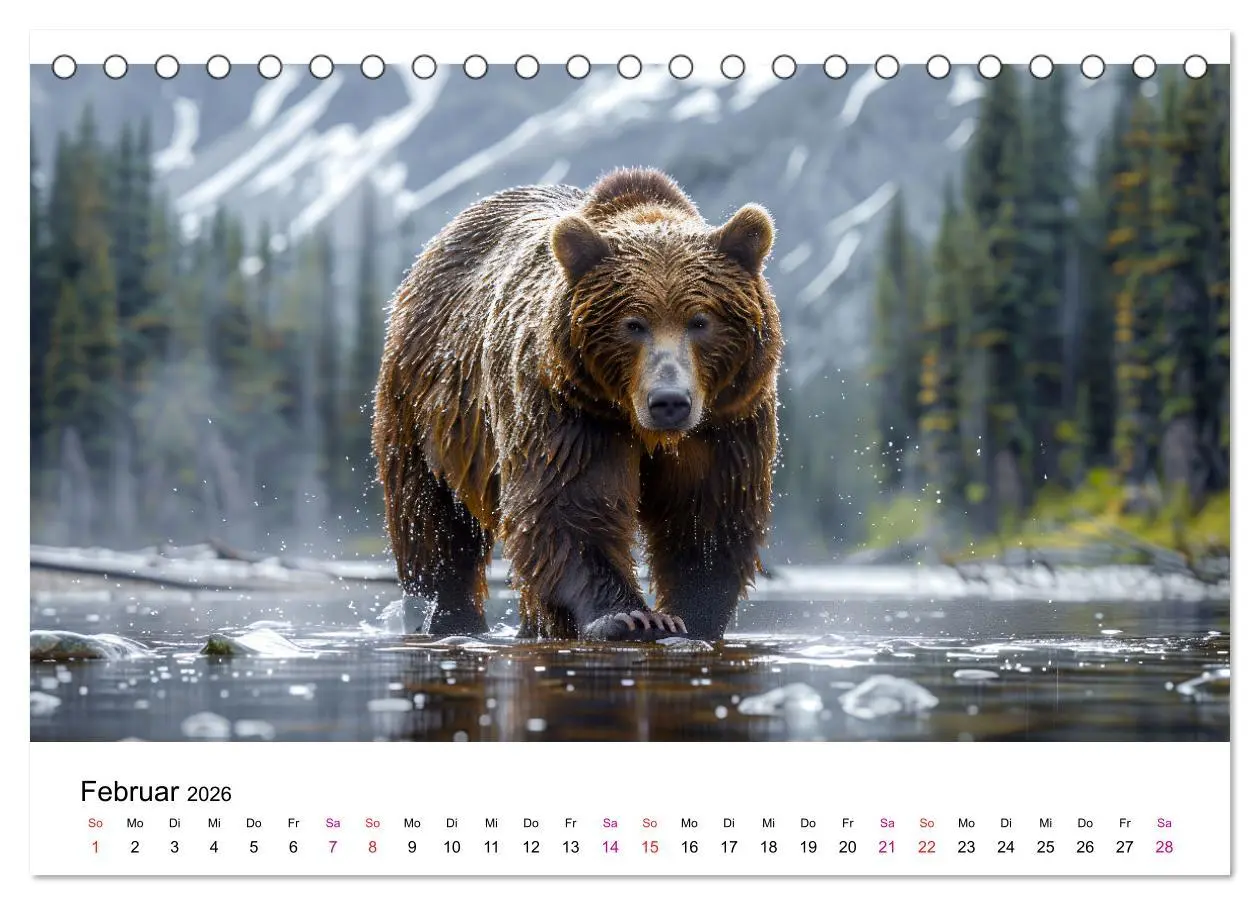 Bild: 9783457375372 | Bären - gefährlich nett (Tischkalender 2026 DIN A5 quer), CALVENDO...
