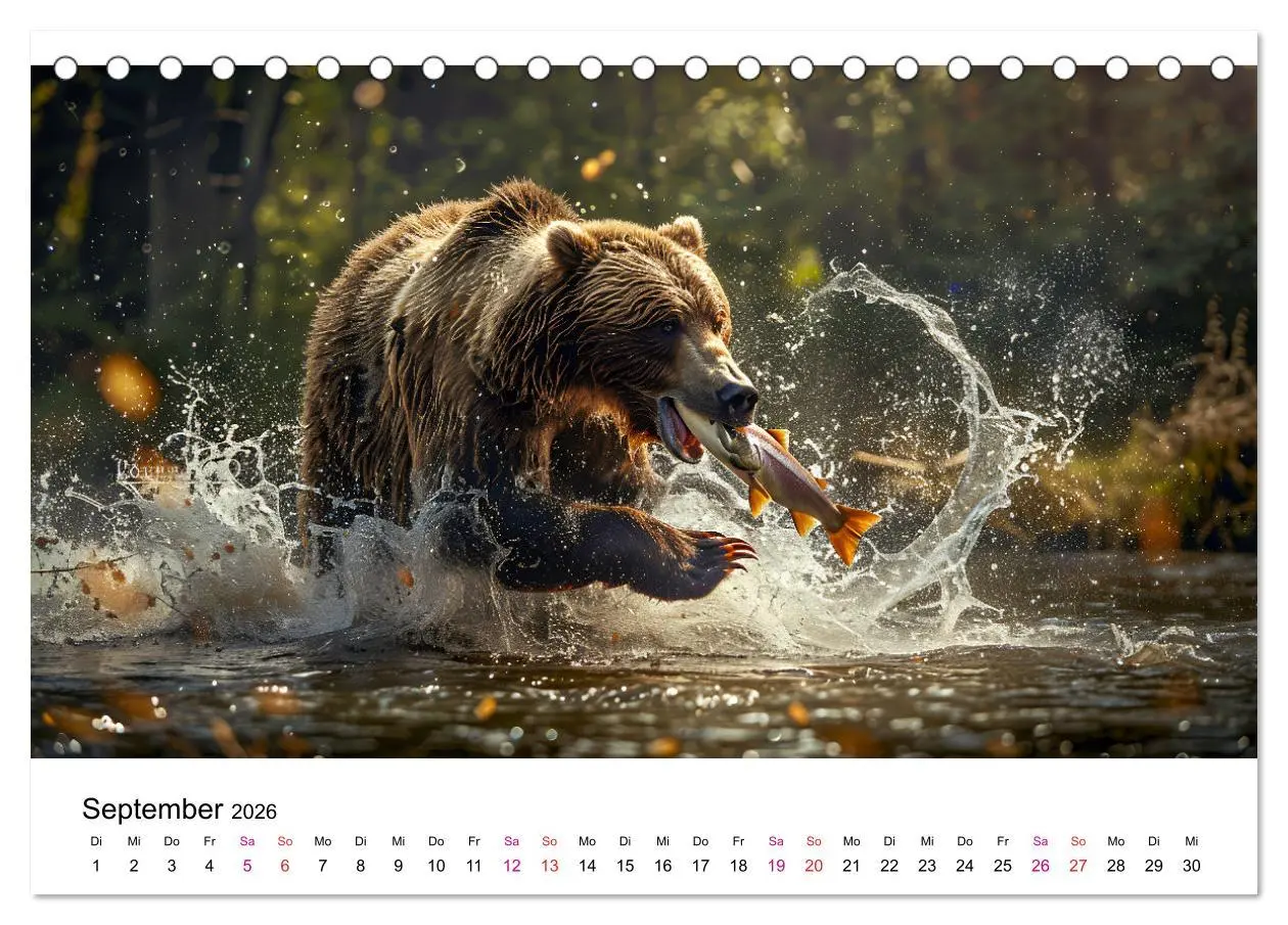 Bild: 9783457375372 | Bären - gefährlich nett (Tischkalender 2026 DIN A5 quer), CALVENDO...