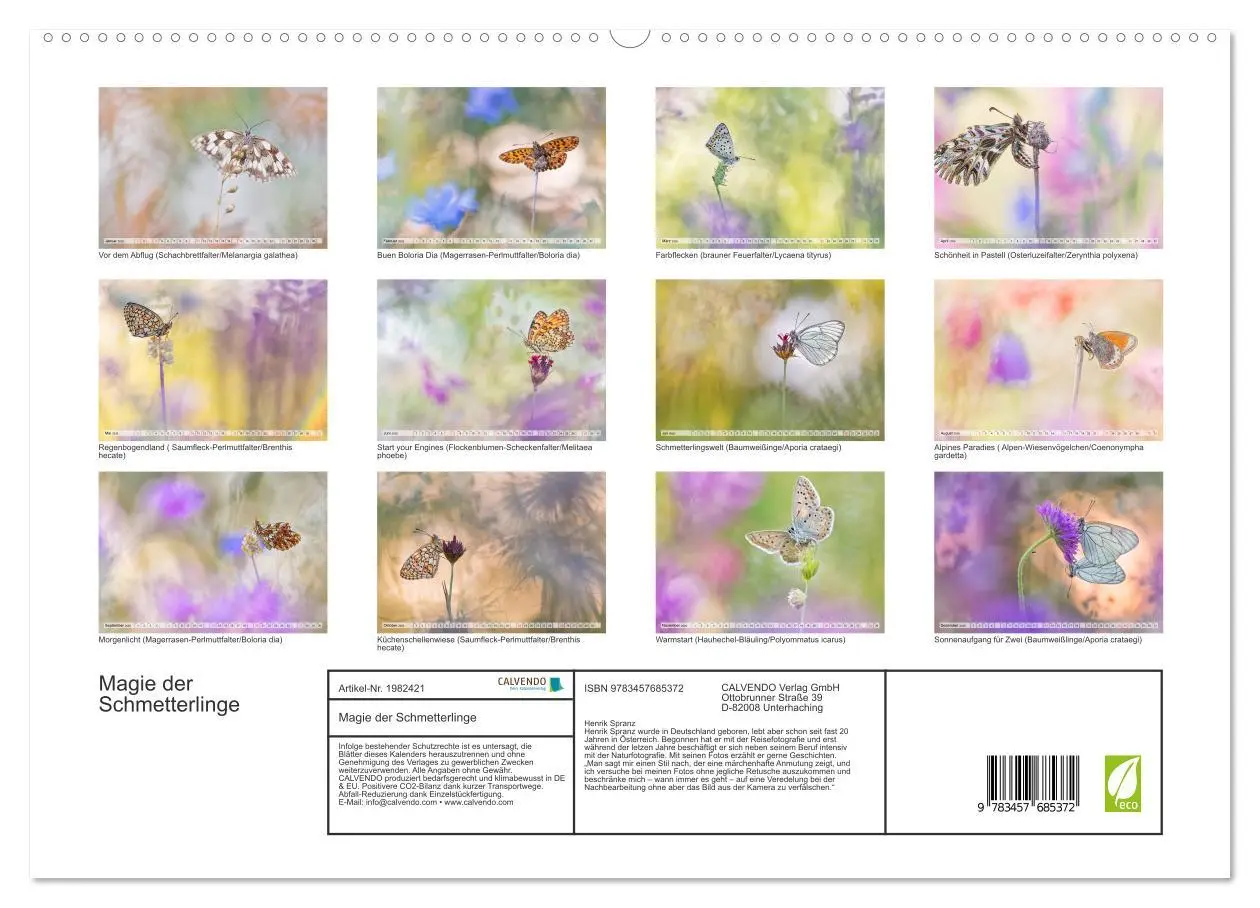 Bild: 9783457685372 | Magie der Schmetterlinge (hochwertiger Premium Wandkalender 2026...