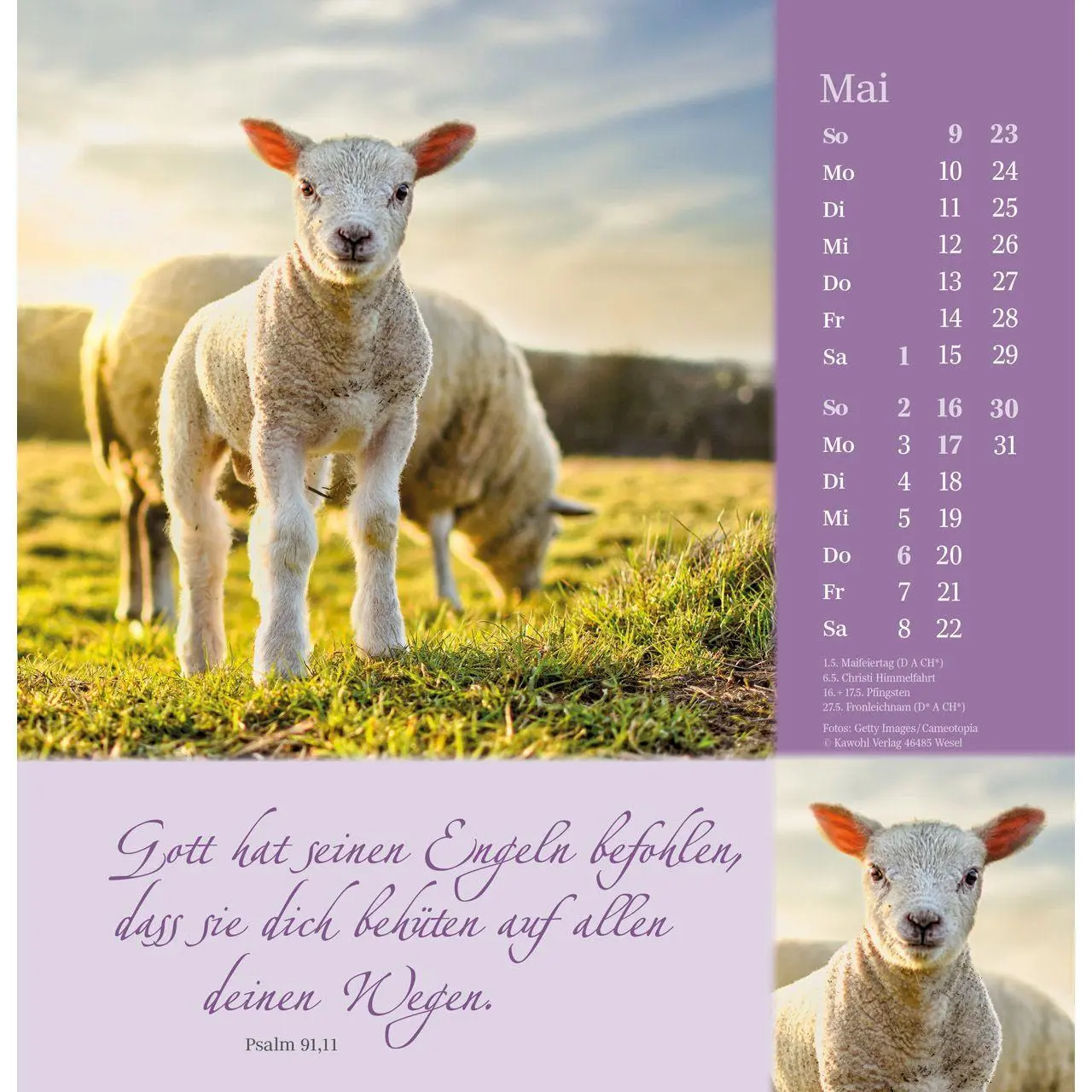 Bild: 9783754825372 | Sei behütet auf allen Wegen 2027 | Impulse und Gedanken aus Psalm 23