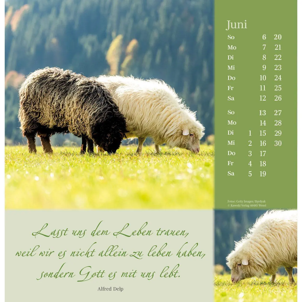 Bild: 9783754825372 | Sei behütet auf allen Wegen 2027 | Impulse und Gedanken aus Psalm 23