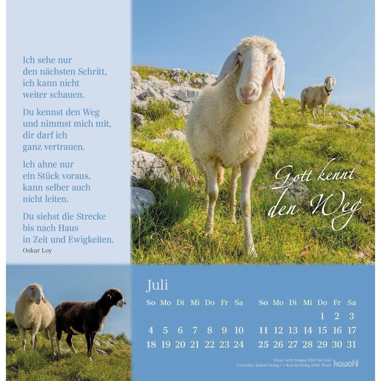 Bild: 9783754825372 | Sei behütet auf allen Wegen 2027 | Impulse und Gedanken aus Psalm 23