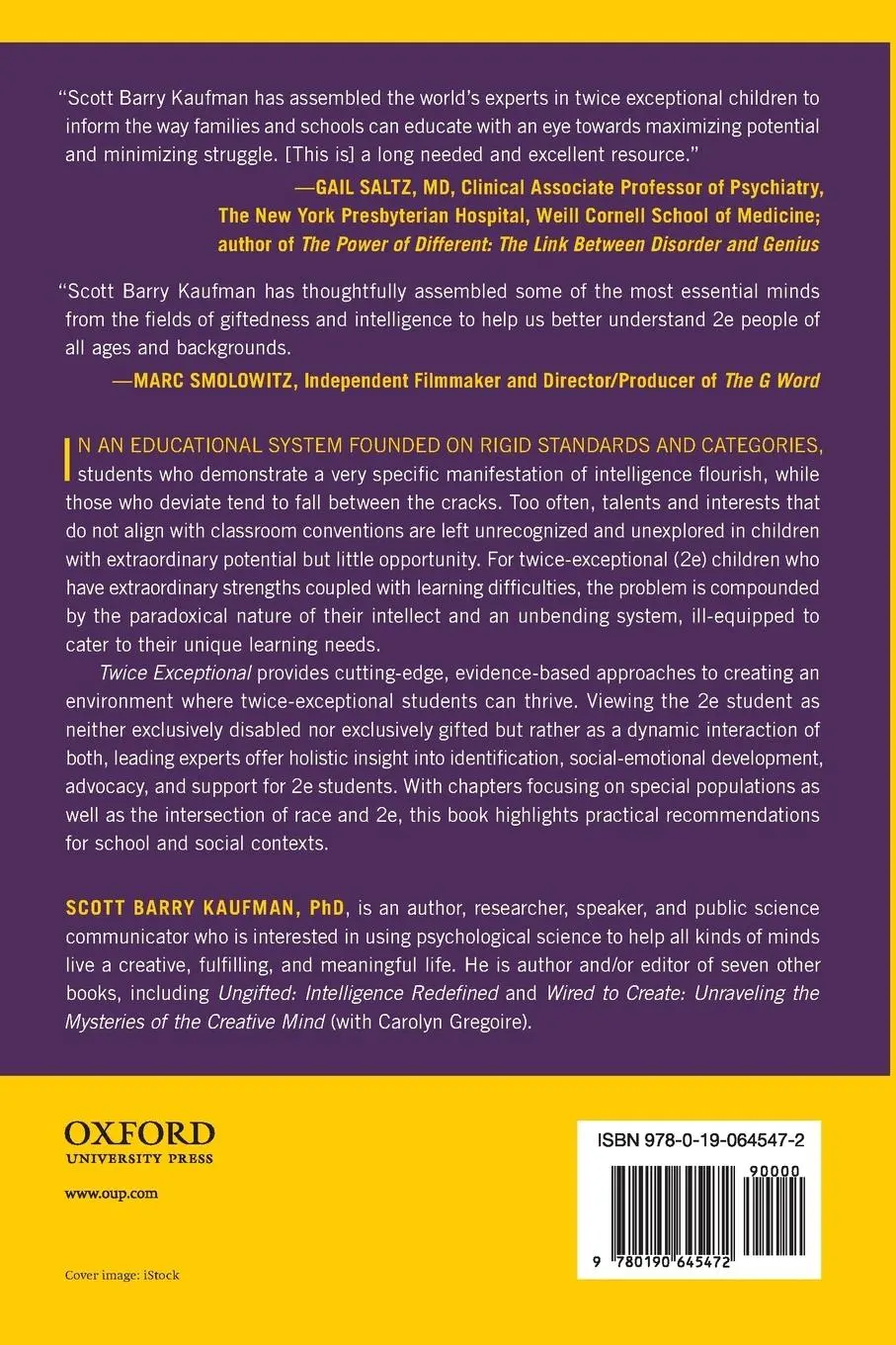 Rückseite: 9780190645472 | Twice Exceptional | Scott Barry Kaufman | Taschenbuch | Englisch