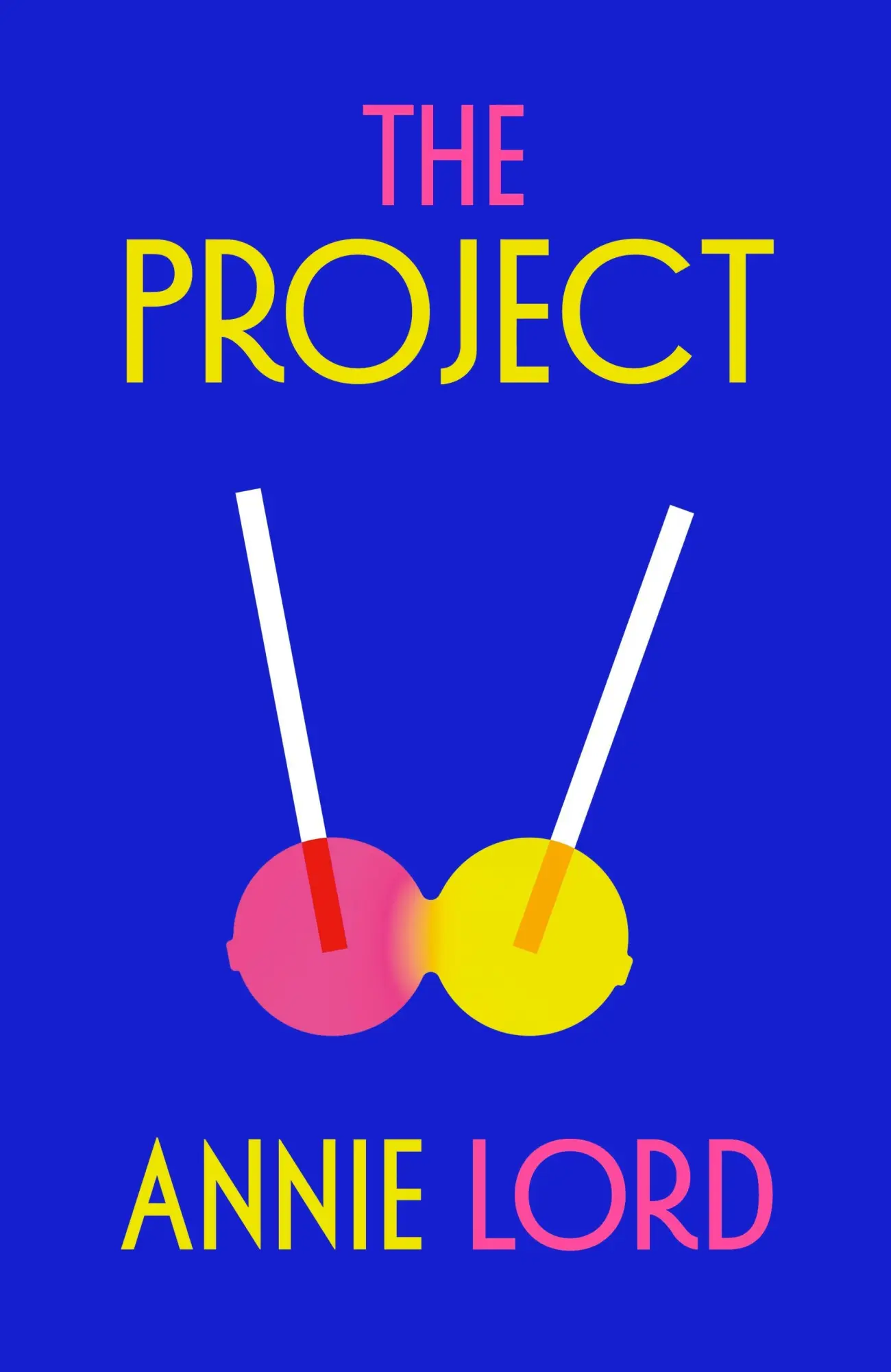 Cover: 9781787305472 | The Project | Annie Lord | Taschenbuch | Englisch | 2026