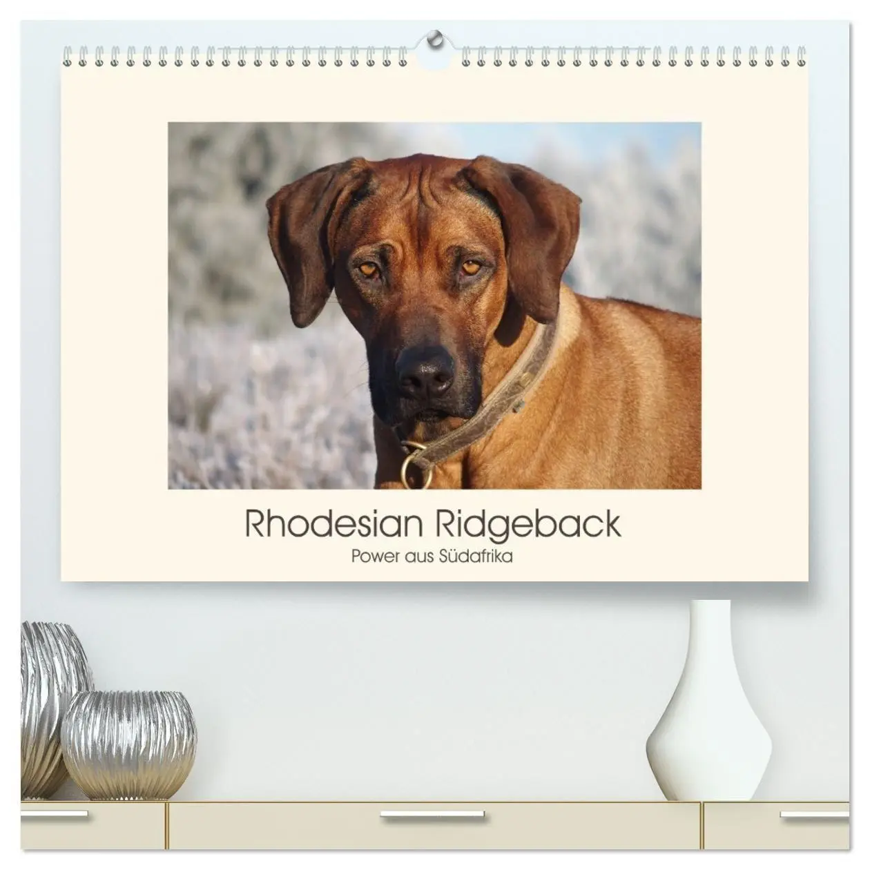 Cover: 9783457735572 | Rhodesian Ridgeback Power aus Südafrika (hochwertiger Premium...