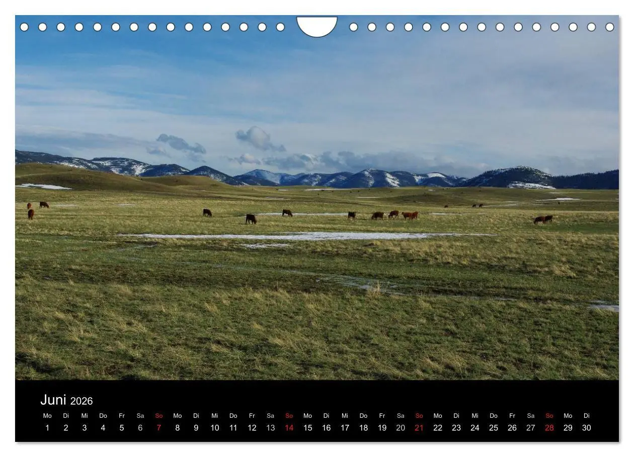 Bild: 9783516205572 | Montana! (Wandkalender 2026 DIN A4 quer), CALVENDO Monatskalender