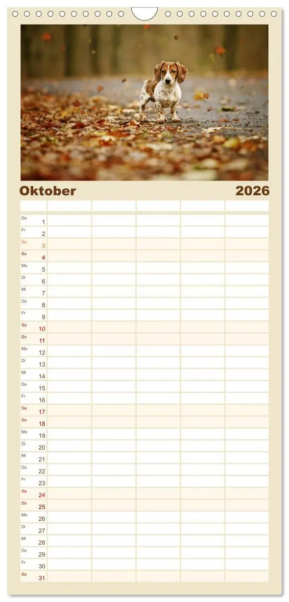 Bild: 9783516515572 | Familienplaner 2026 - Die Dackel daggeln.... mit 5 Spalten...