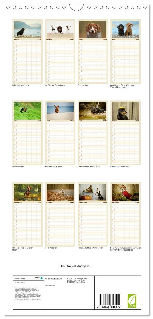 Bild: 9783516515572 | Familienplaner 2026 - Die Dackel daggeln.... mit 5 Spalten...