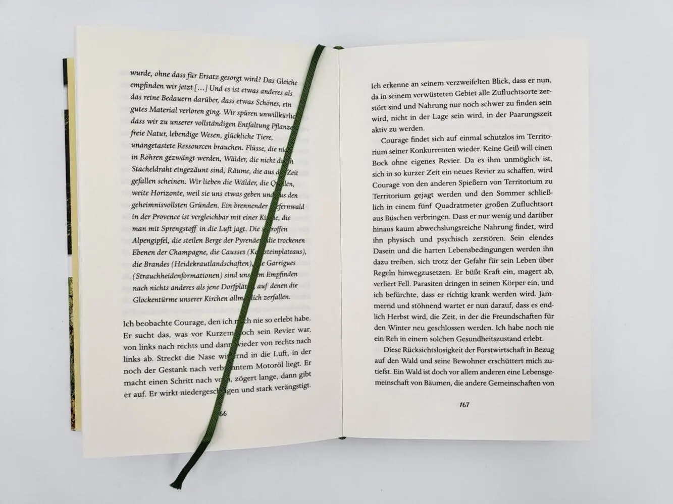 Bild: 9783890295572 | Leben unter Rehen | Geoffroy Delorme | Buch | 240 S. | Deutsch | 2022
