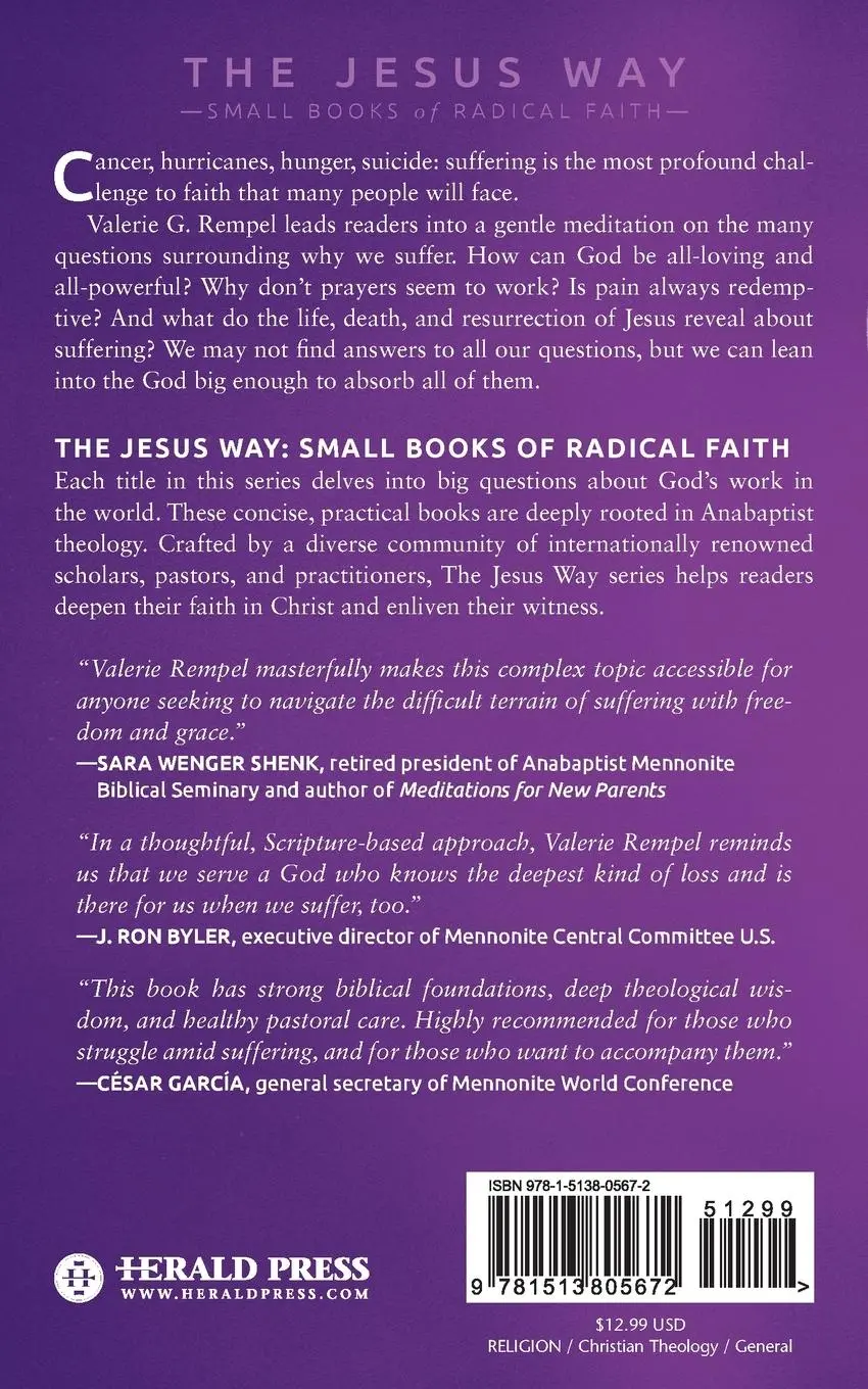 Rückseite: 9781513805672 | Why Do We Suffer and Where Is God When We Do? | Valerie G Rempel