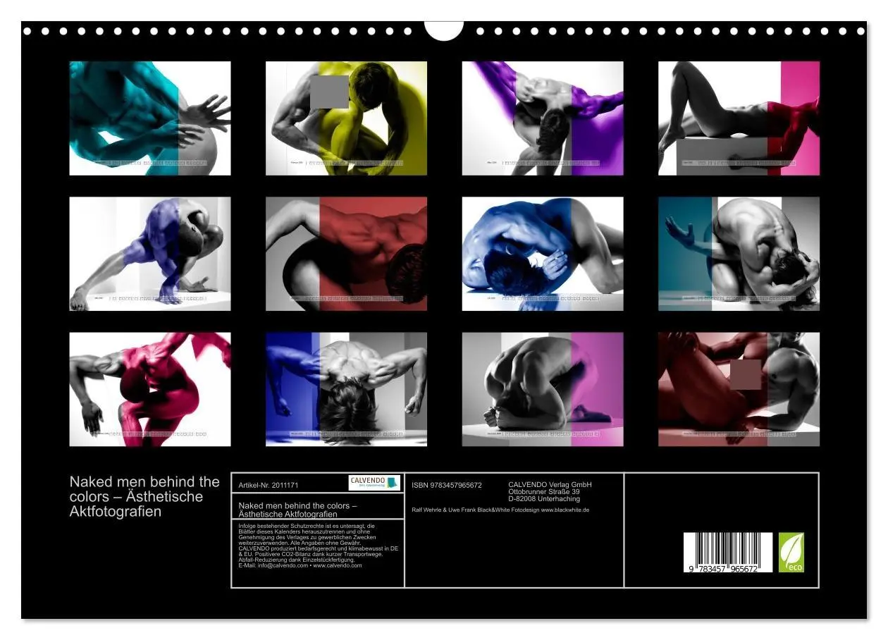 Bild: 9783457965672 | Naked men behind the colors - Ästhetische Aktfotografien...