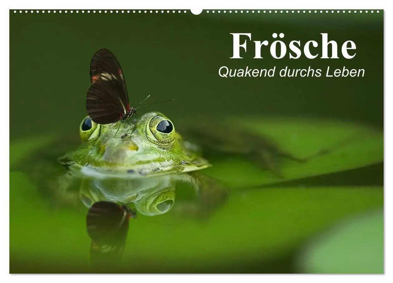 Cover: 9783516055672 | Frösche. Quakend durchs Leben (Wandkalender 2026 DIN A2 quer),...