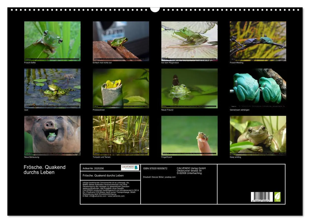 Bild: 9783516055672 | Frösche. Quakend durchs Leben (Wandkalender 2026 DIN A2 quer),...
