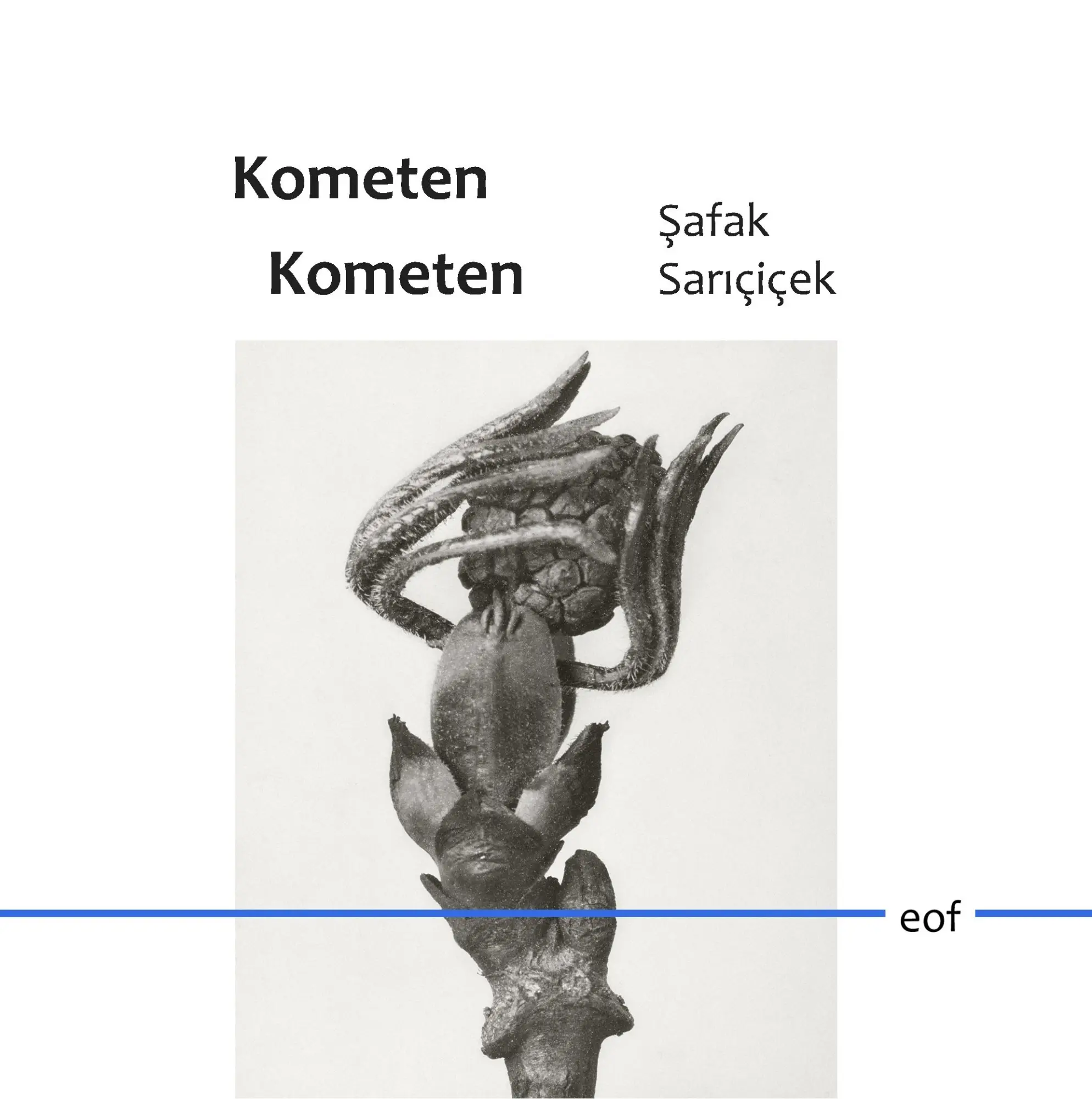 Cover: 9783749495672 | Kometen Kometen | Gedichte | Safak Saricicek | Buch | 72 S. | Deutsch