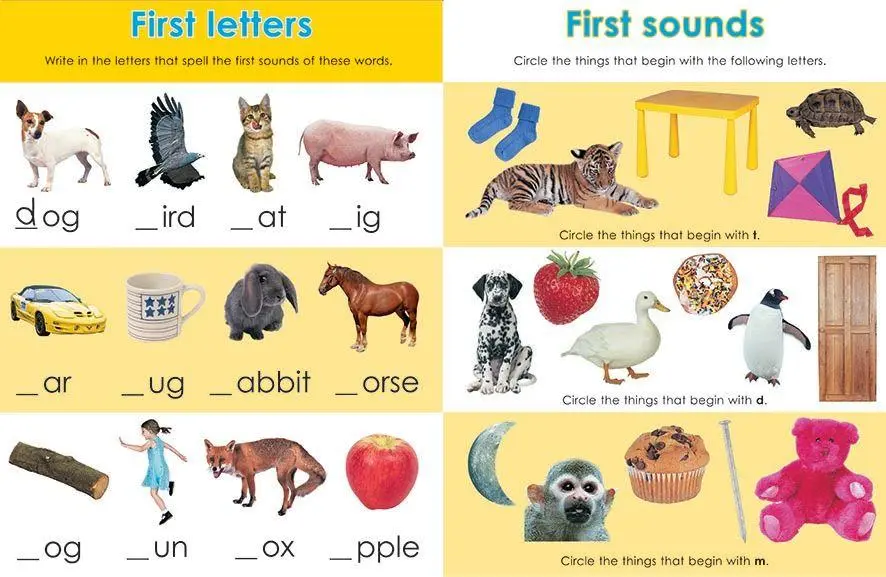 Bild: 9781843325772 | My Big Activity Workbook | Priddy Books (u. a.) | Taschenbuch | 2008
