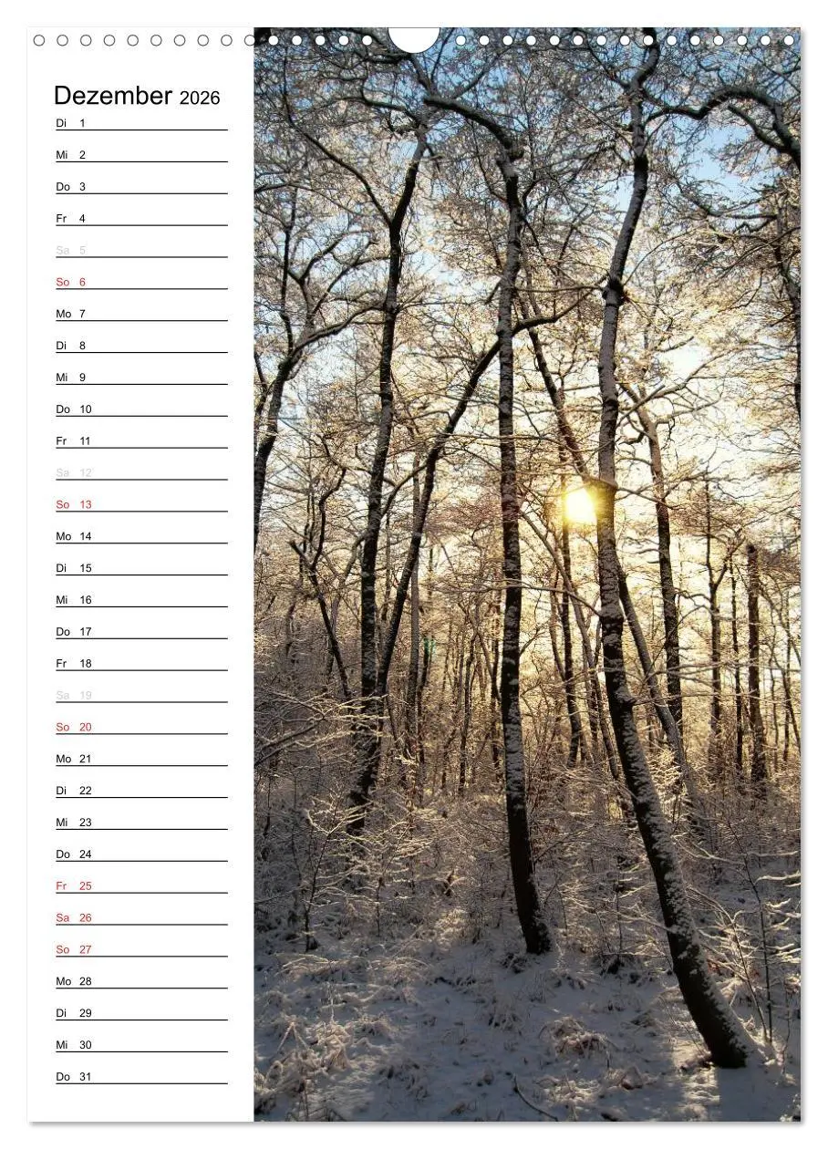 Bild: 9783516425772 | Land Brandenburg im Wechsel der Jahreszeiten (Wandkalender 2026 DIN...
