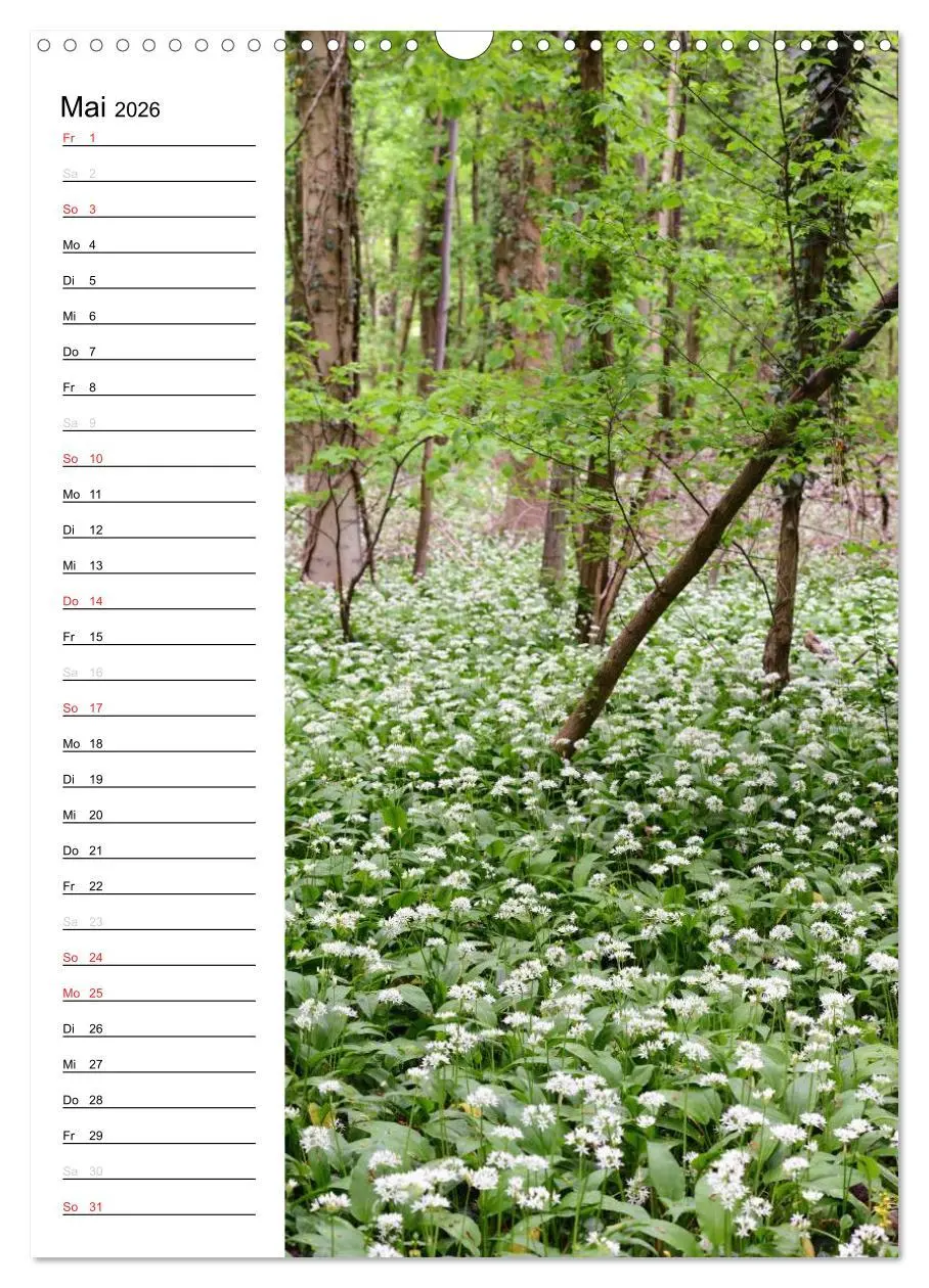 Bild: 9783516425772 | Land Brandenburg im Wechsel der Jahreszeiten (Wandkalender 2026 DIN...