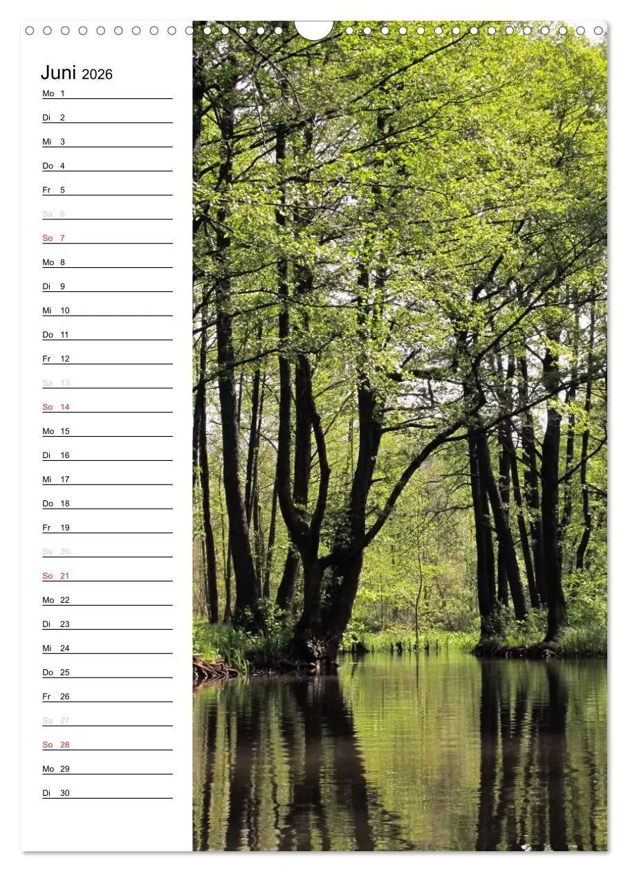 Bild: 9783516425772 | Land Brandenburg im Wechsel der Jahreszeiten (Wandkalender 2026 DIN...