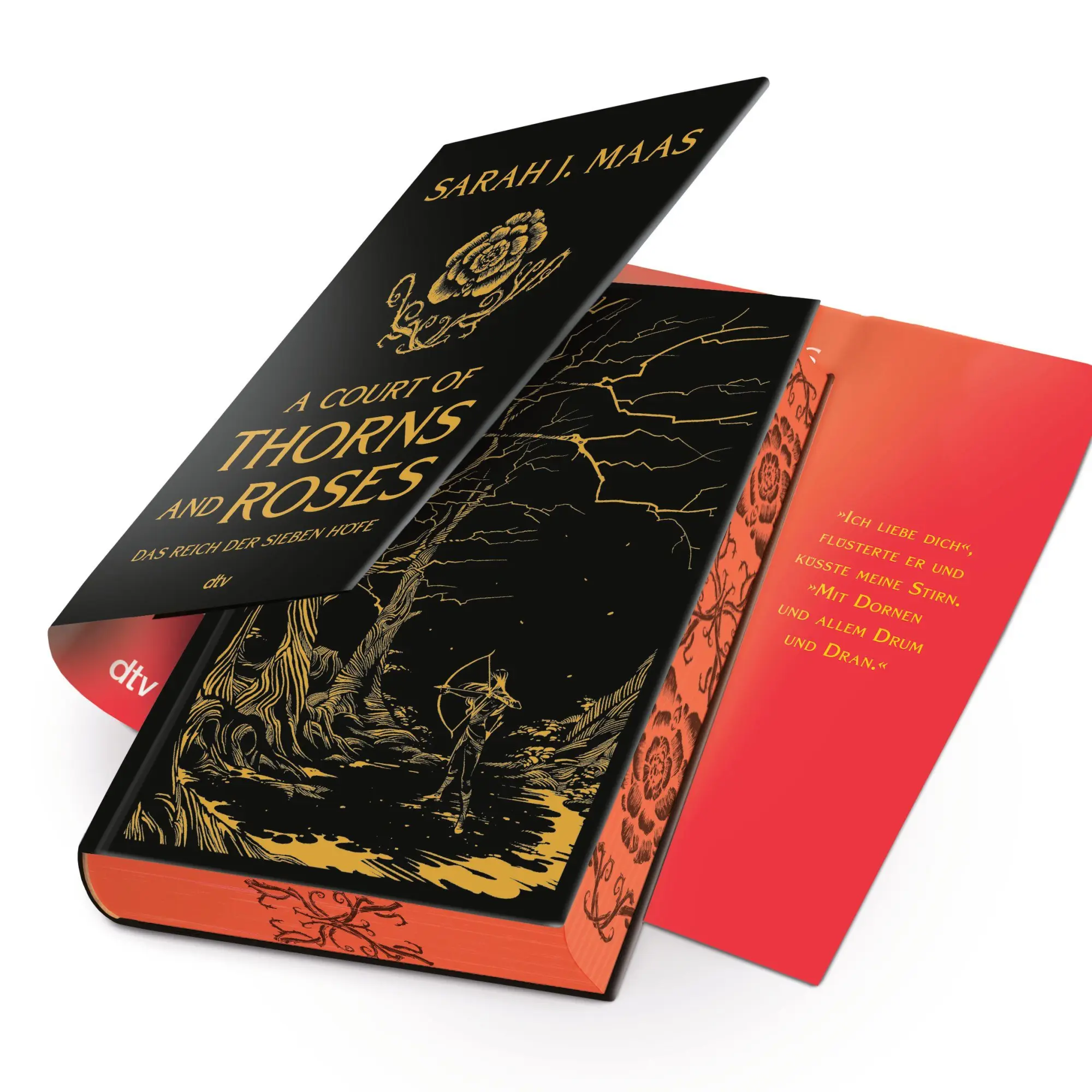 Bild: 9783423285872 | A Court of Thorns and Roses | Sarah J. Maas | Buch | 480 S. | Deutsch