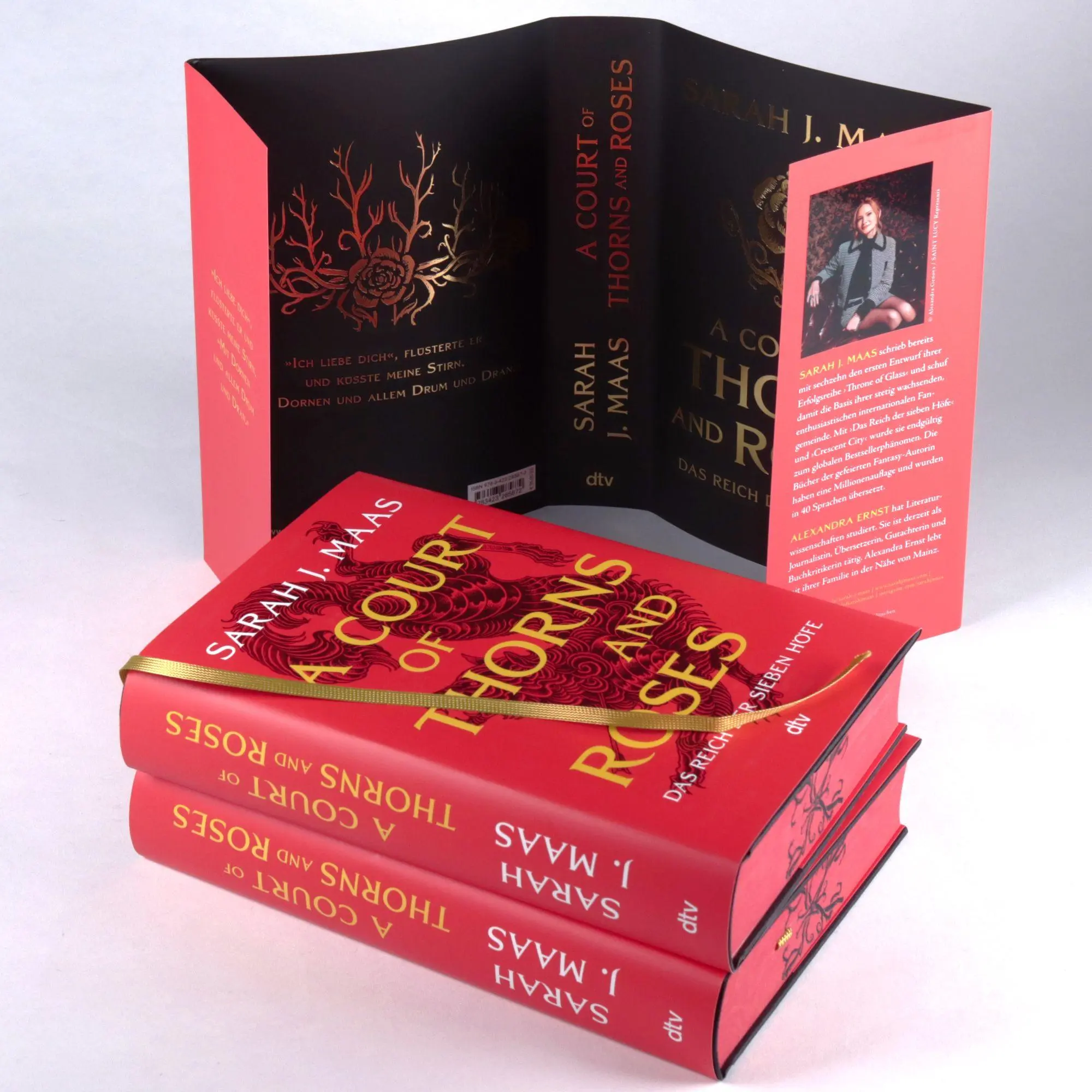 Bild: 9783423285872 | A Court of Thorns and Roses | Sarah J. Maas | Buch | 480 S. | Deutsch