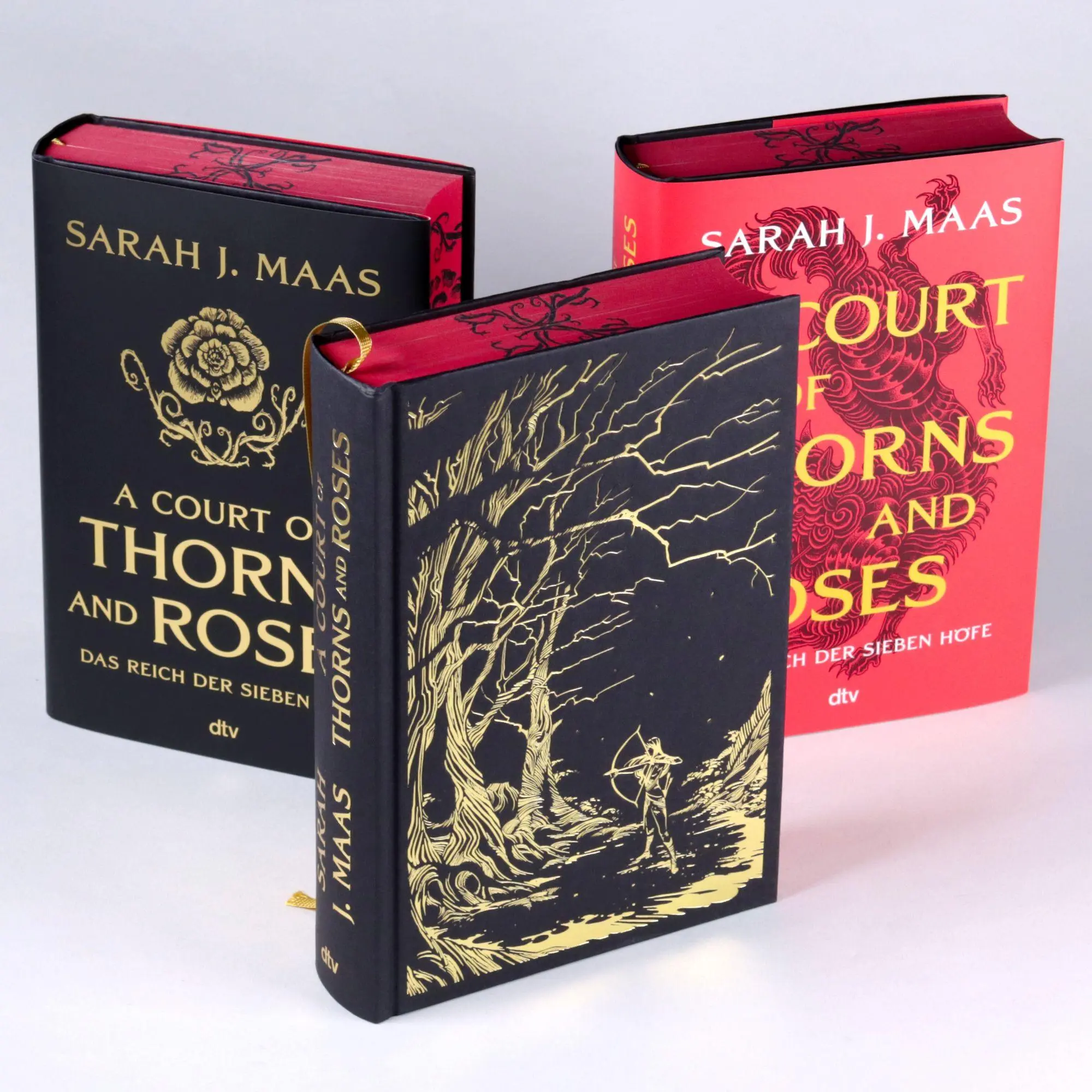 Bild: 9783423285872 | A Court of Thorns and Roses | Sarah J. Maas | Buch | 480 S. | Deutsch