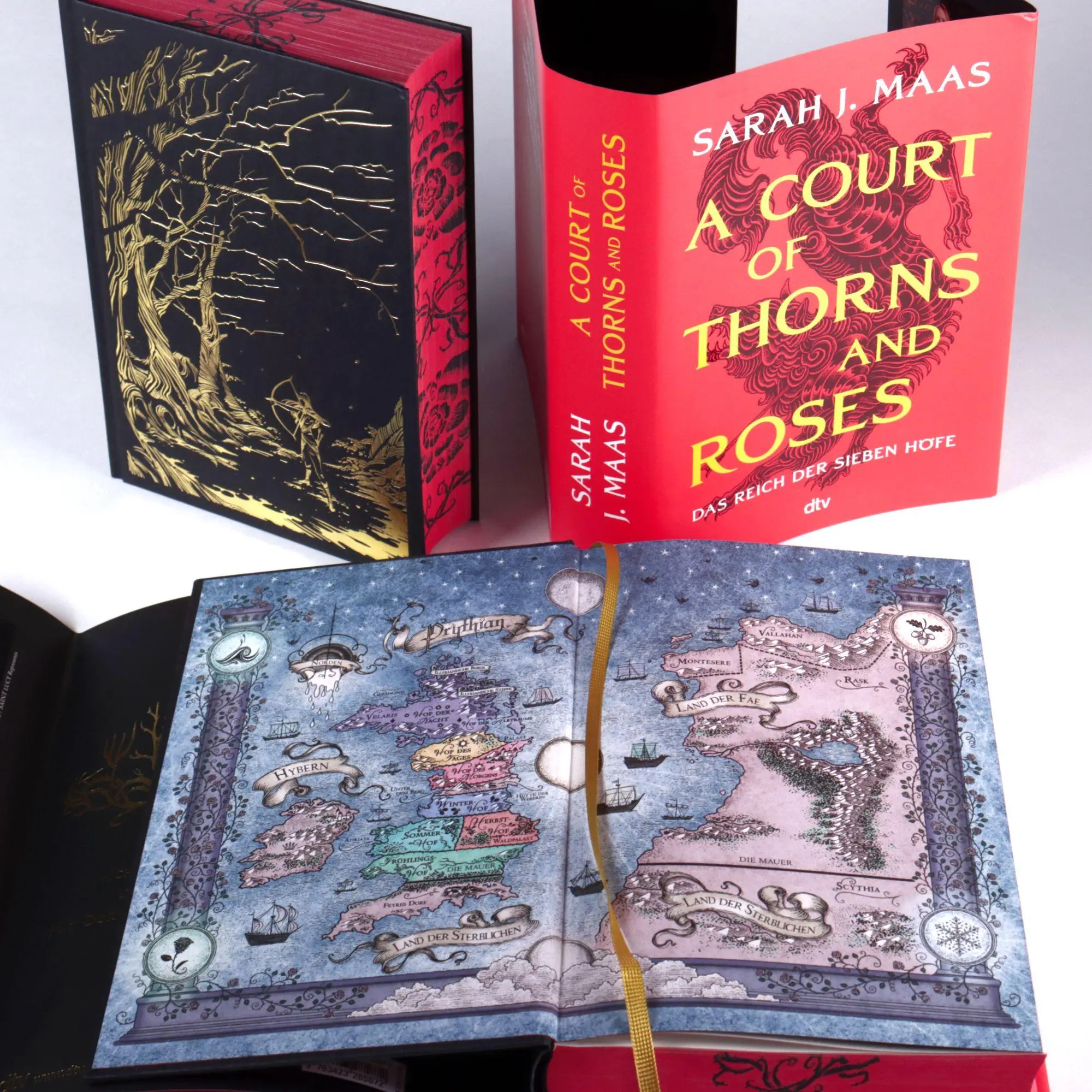 Bild: 9783423285872 | A Court of Thorns and Roses | Sarah J. Maas | Buch | 480 S. | Deutsch