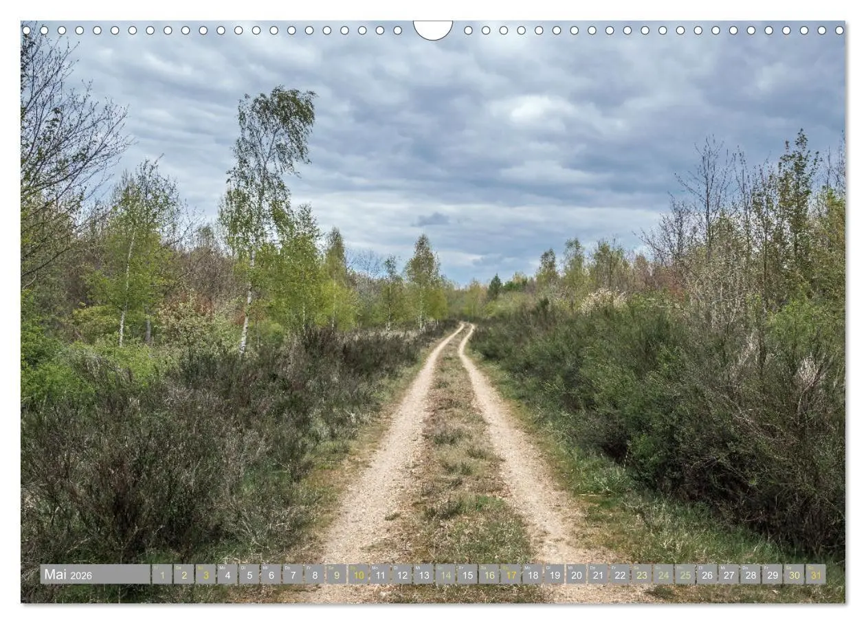 Bild: 9783457565872 | Wanderwege in Europa (Wandkalender 2026 DIN A3 quer), CALVENDO...