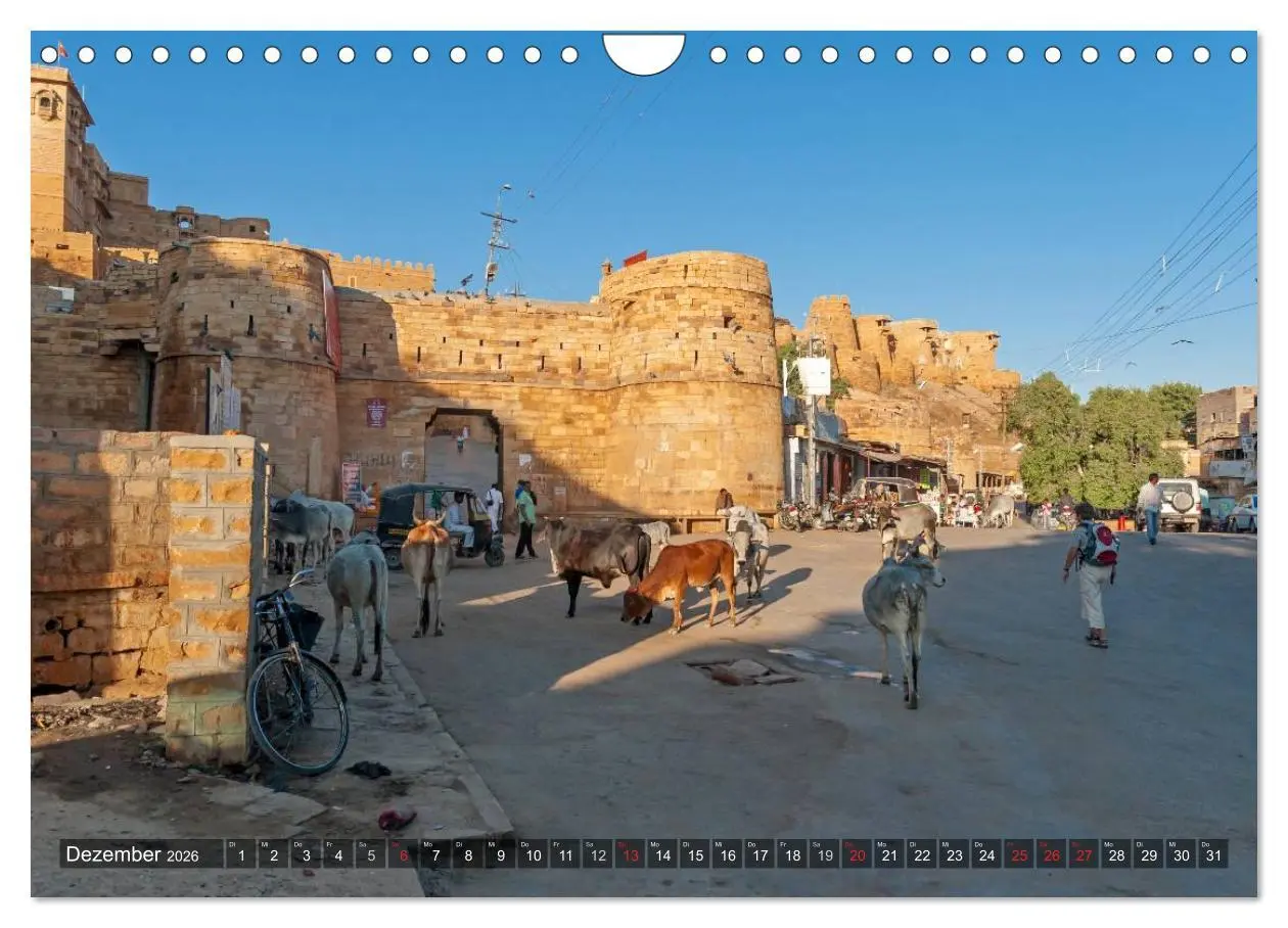 Bild: 9783457945872 | Indien, Rajasthan (Wandkalender 2026 DIN A4 quer), CALVENDO...