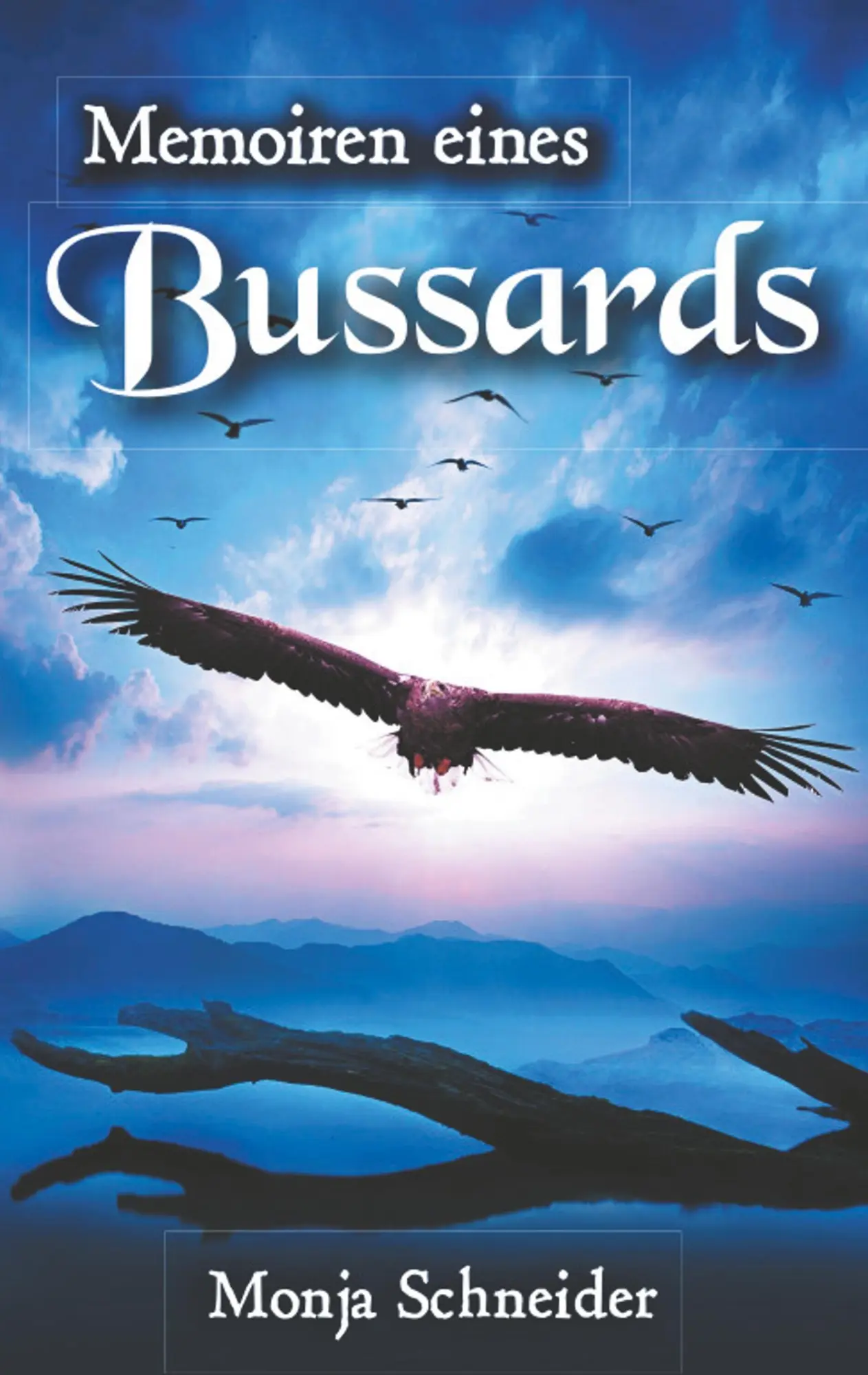 Cover: 9783746025872 | Memoiren eines Bussards | Monja Schneider | Taschenbuch | 196 S.