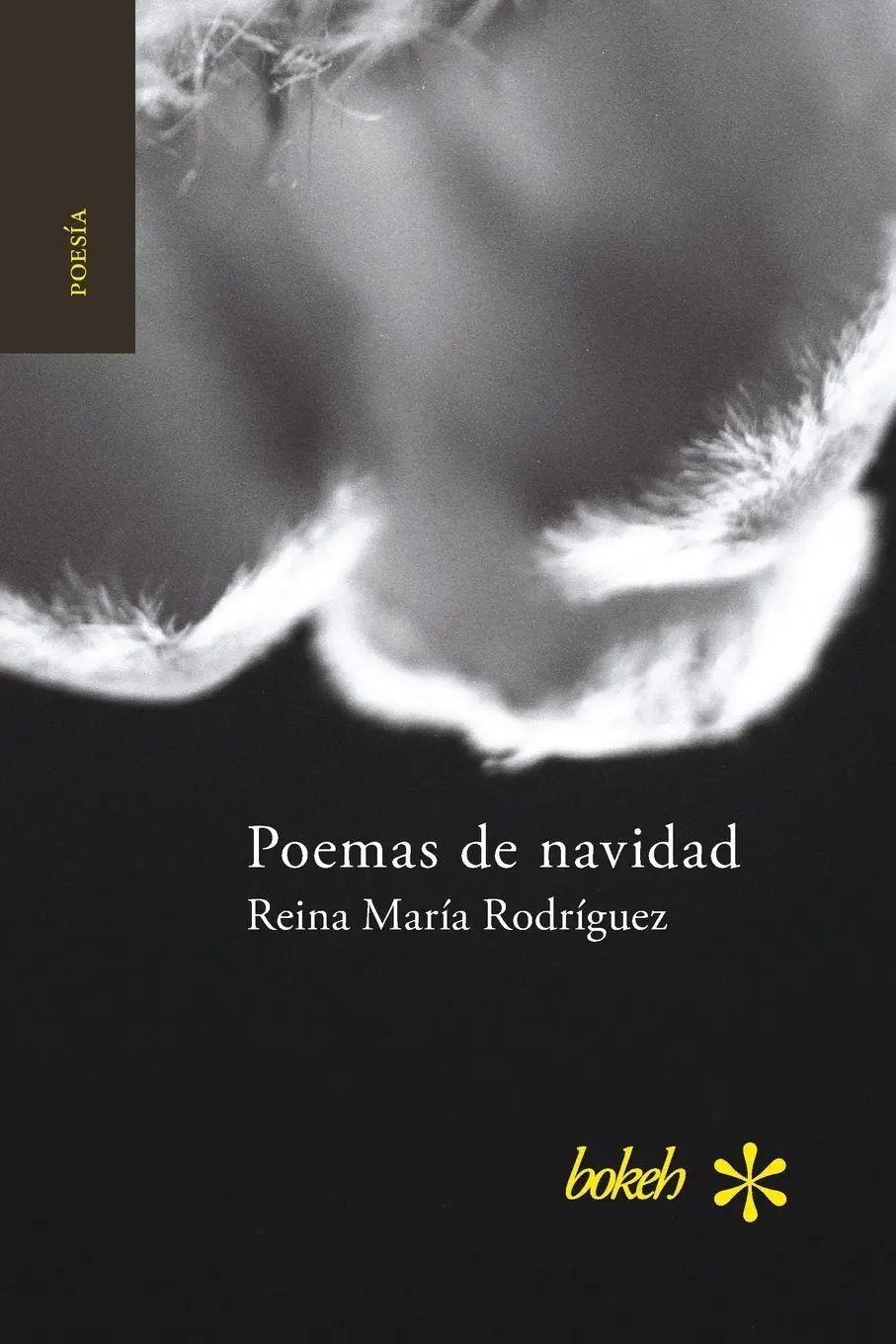 Cover: 9789491515972 | Poemas de navidad | Reina María Rodríguez | Taschenbuch | Spanisch