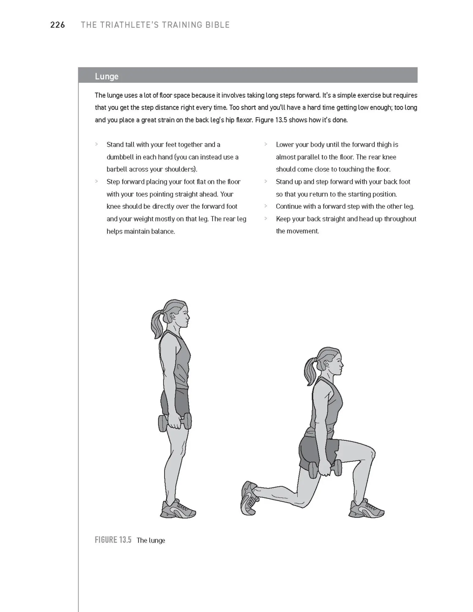 Bild: 9781646046072 | The Triathlete's Training Bible | Joe Friel | Taschenbuch | Englisch