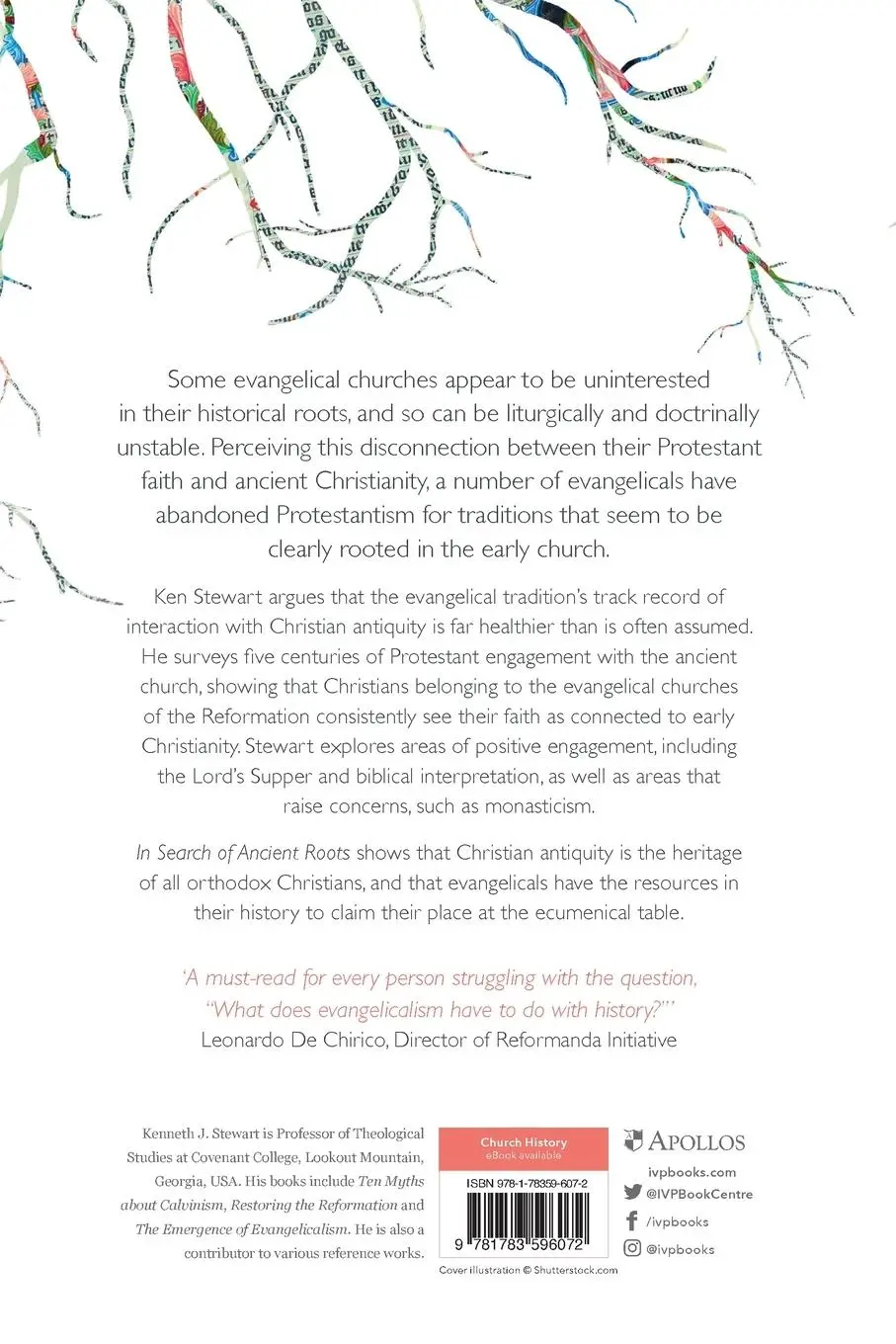 Rückseite: 9781783596072 | In Search of Ancient Roots | Kenneth J Stewart | Taschenbuch | 2017