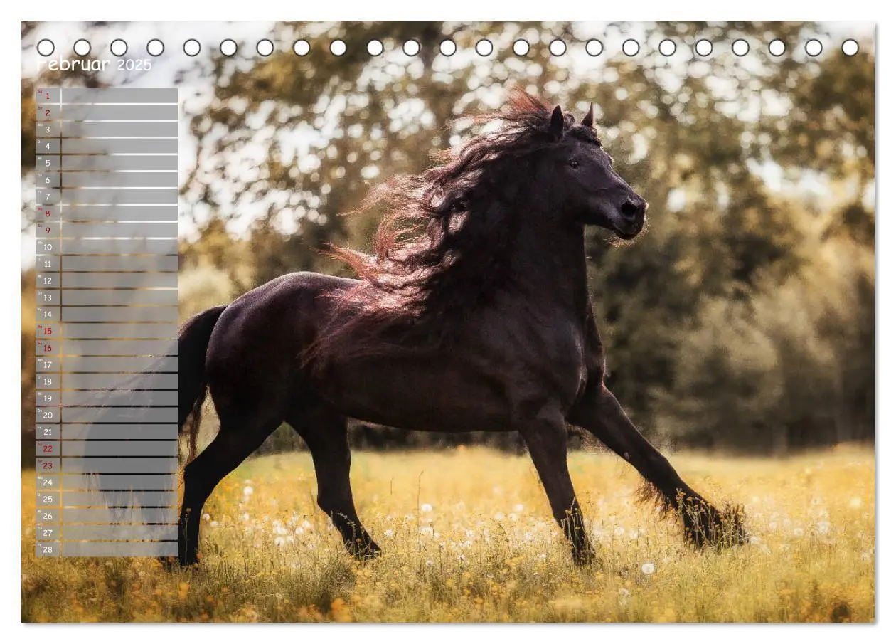 Bild: 9783435356072 | Pferde - Spiegel deiner Seele (Tischkalender 2025 DIN A5 quer),...