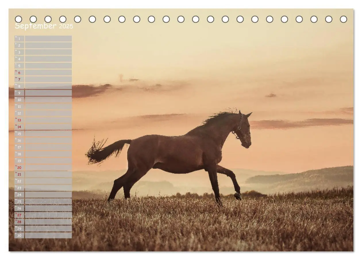 Bild: 9783435356072 | Pferde - Spiegel deiner Seele (Tischkalender 2025 DIN A5 quer),...
