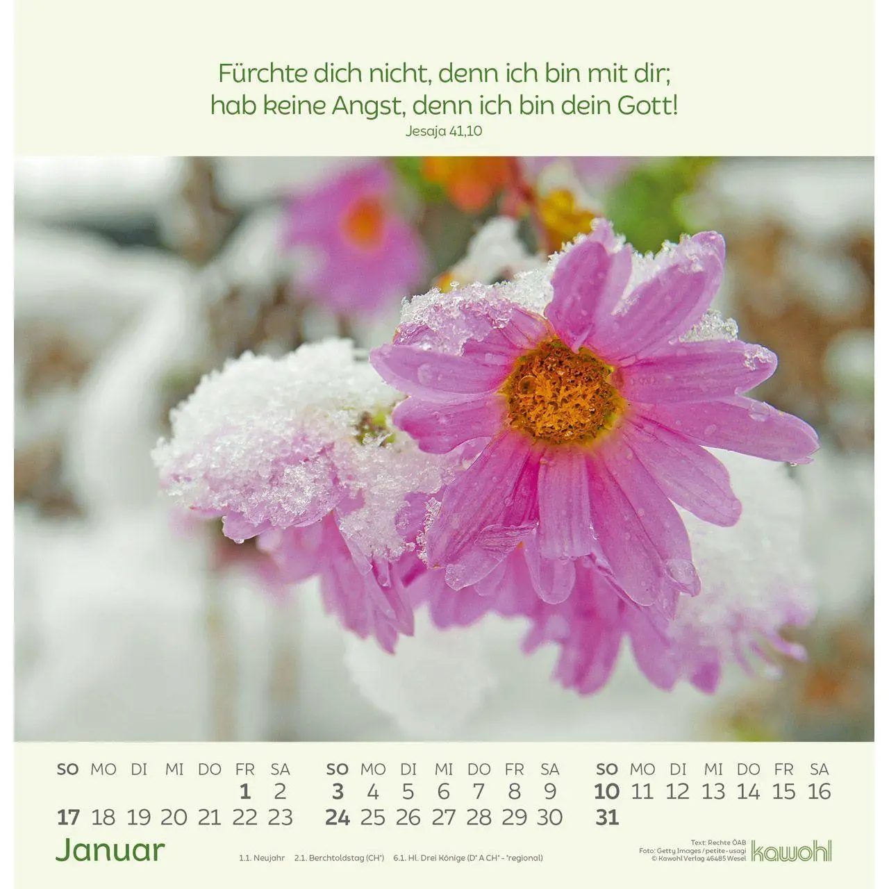 Bild: 9783754826072 | Blumengrüße 2027 | Kalender mit Bibelworten und Blumenbildern | 14 S.