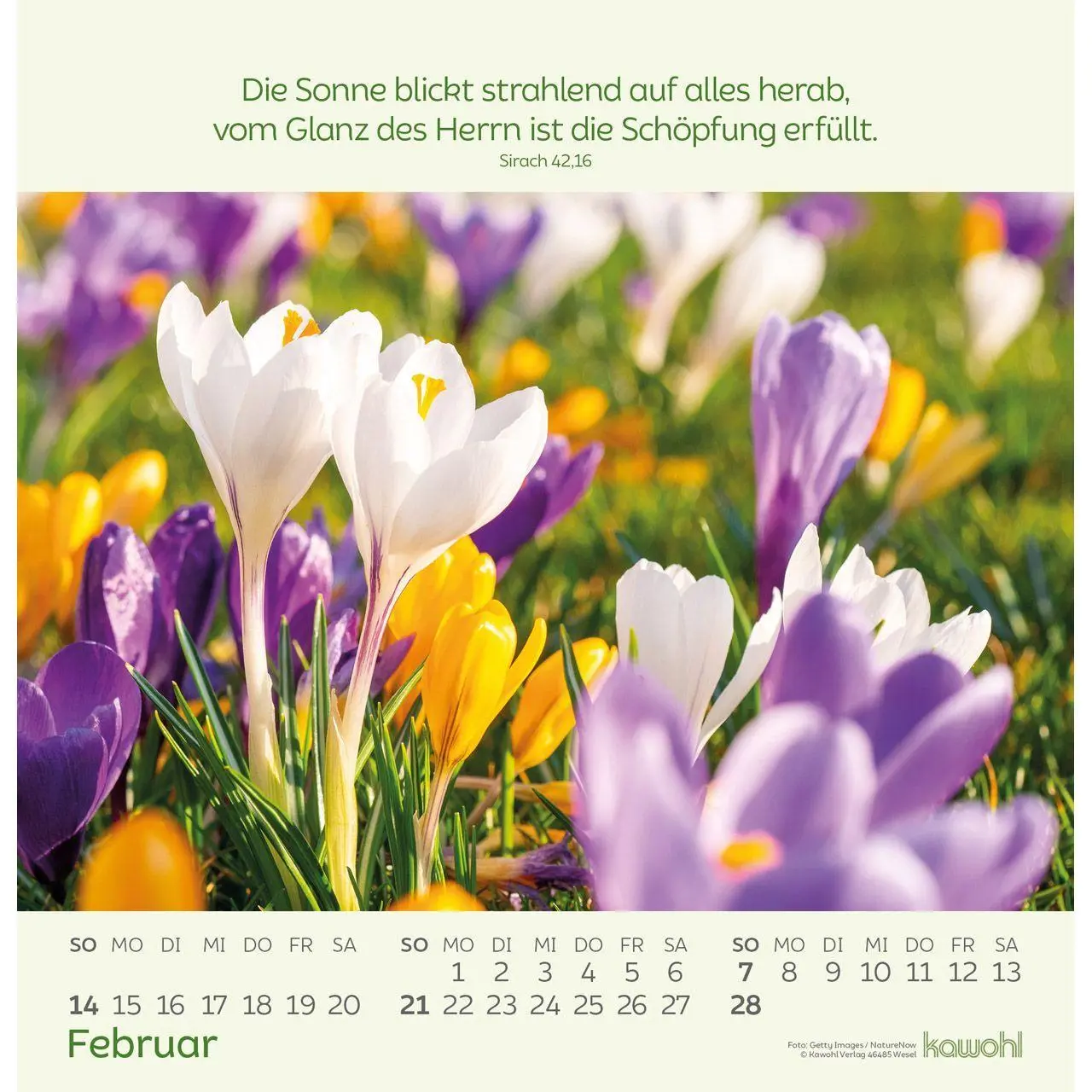 Bild: 9783754826072 | Blumengrüße 2027 | Kalender mit Bibelworten und Blumenbildern | 14 S.