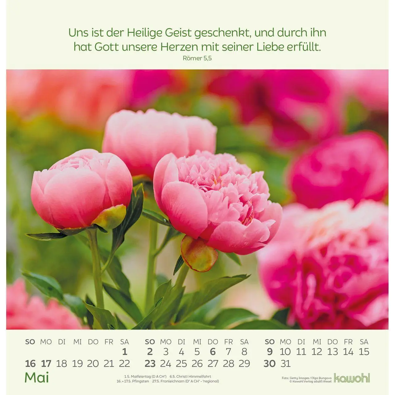 Bild: 9783754826072 | Blumengrüße 2027 | Kalender mit Bibelworten und Blumenbildern | 14 S.